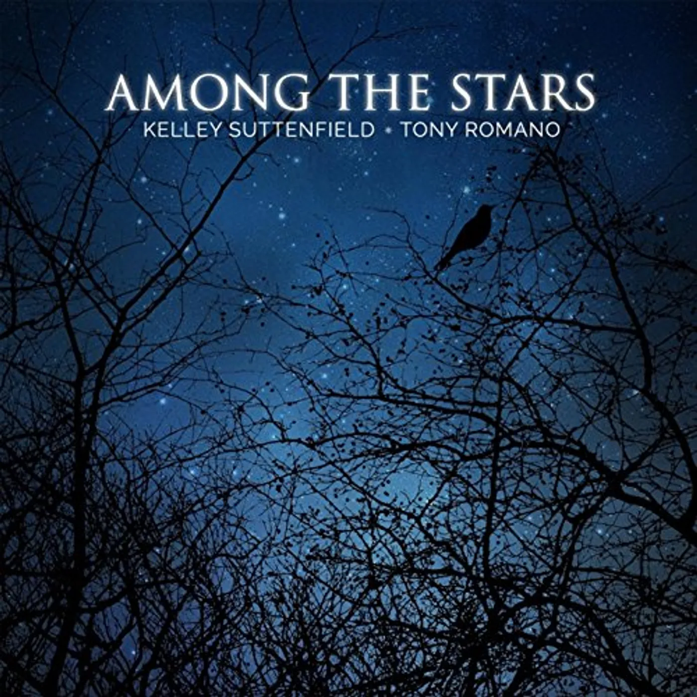 Kelley Suttenfield AMONG THE STARS CD