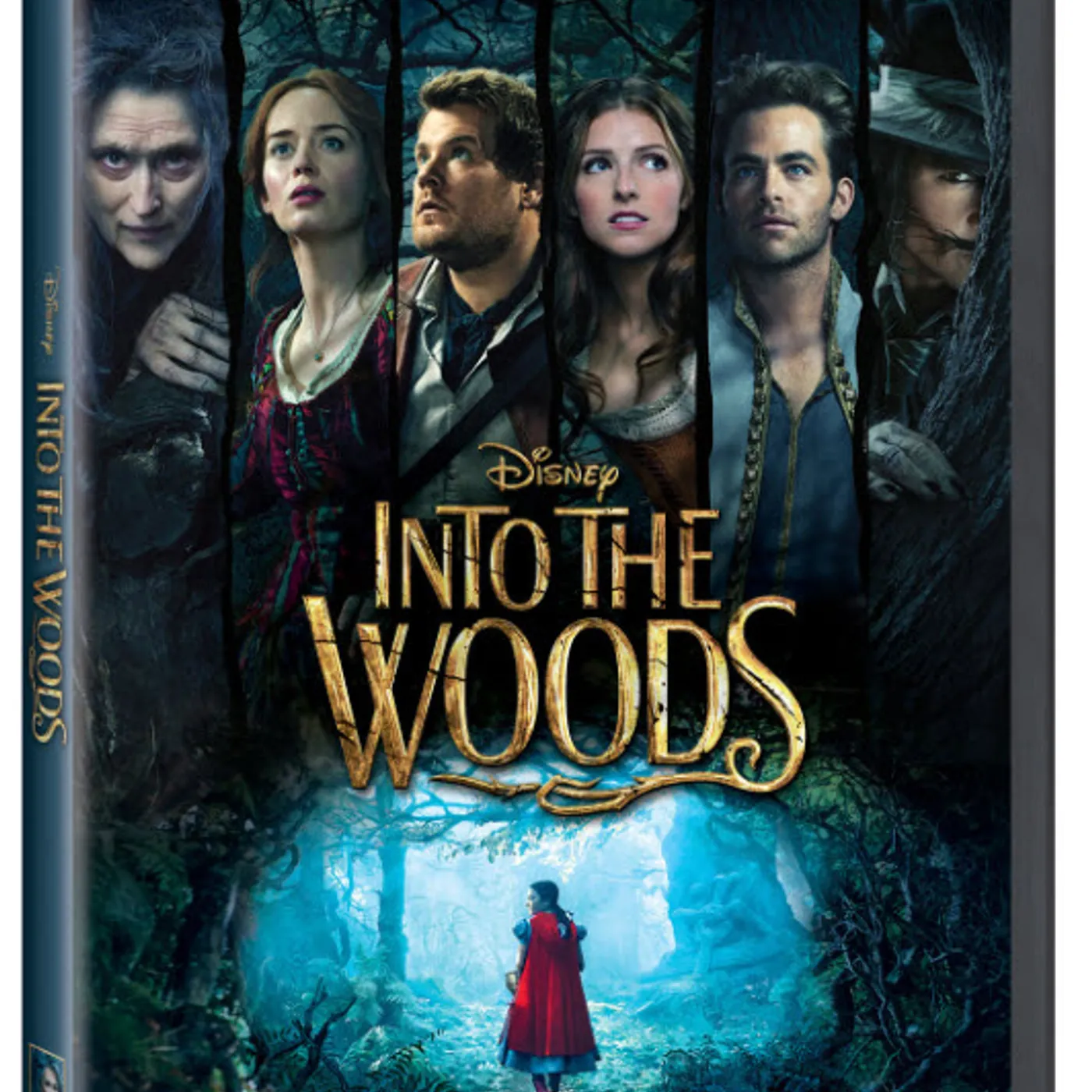 INTO THE WOODS DVD