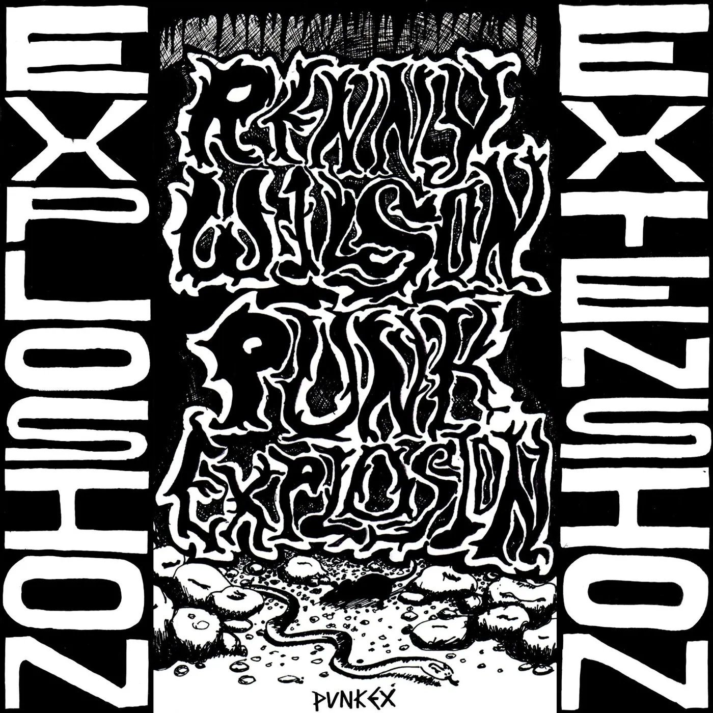 Renny Wilson Punk Explosion / Extension Vinyl Record