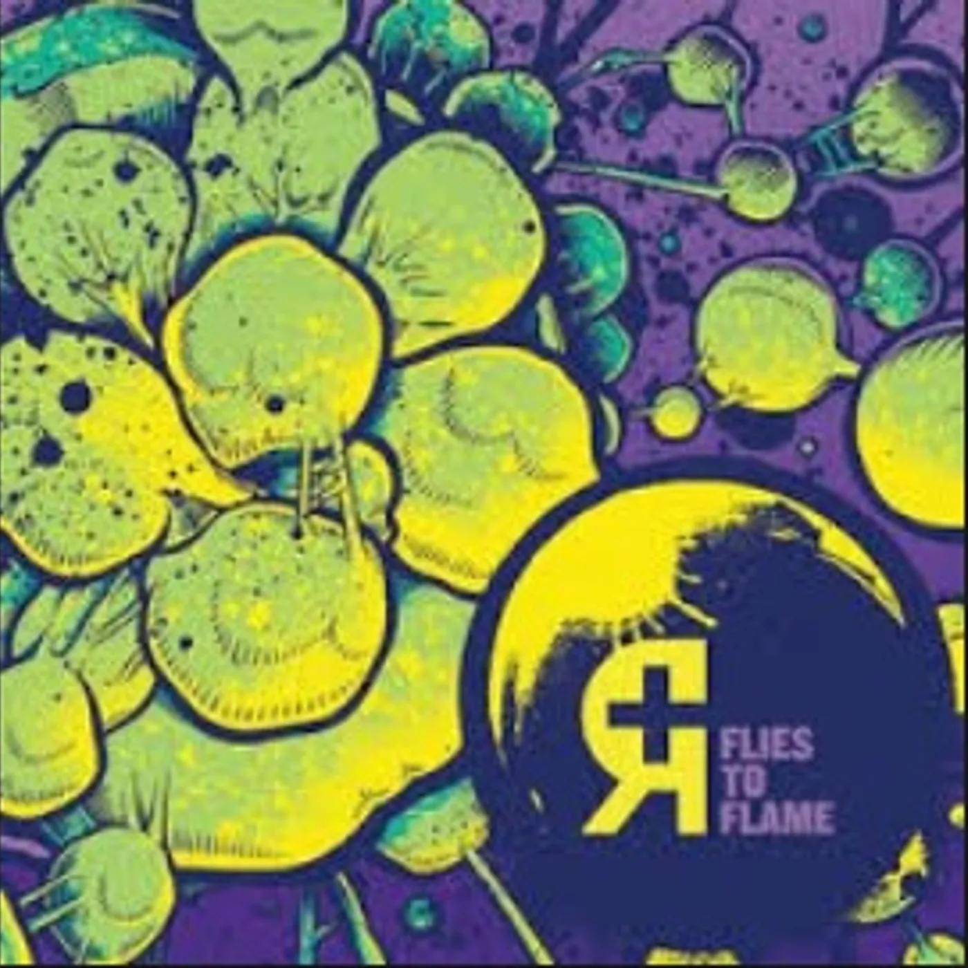 Rosetta Flies to Flame Vinyl Record