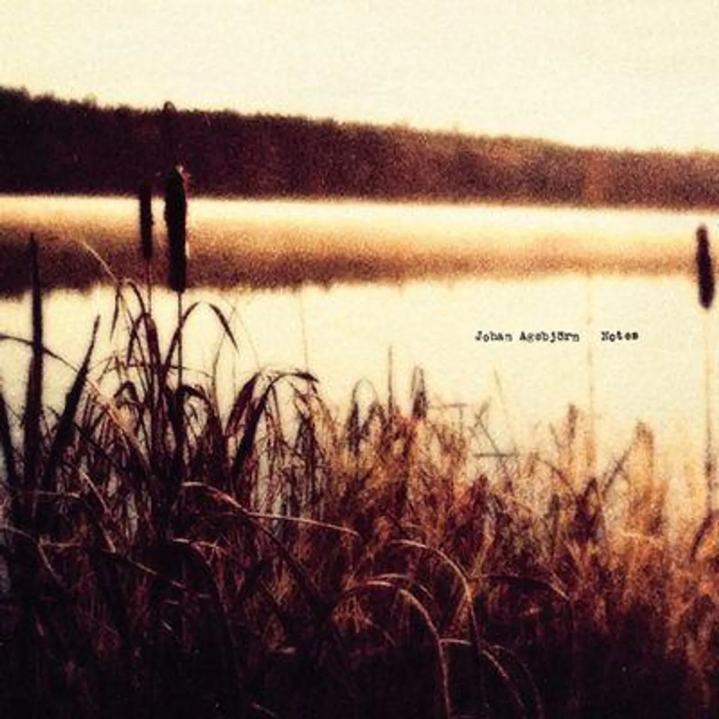 Loney Dear Notes Vinyl Record