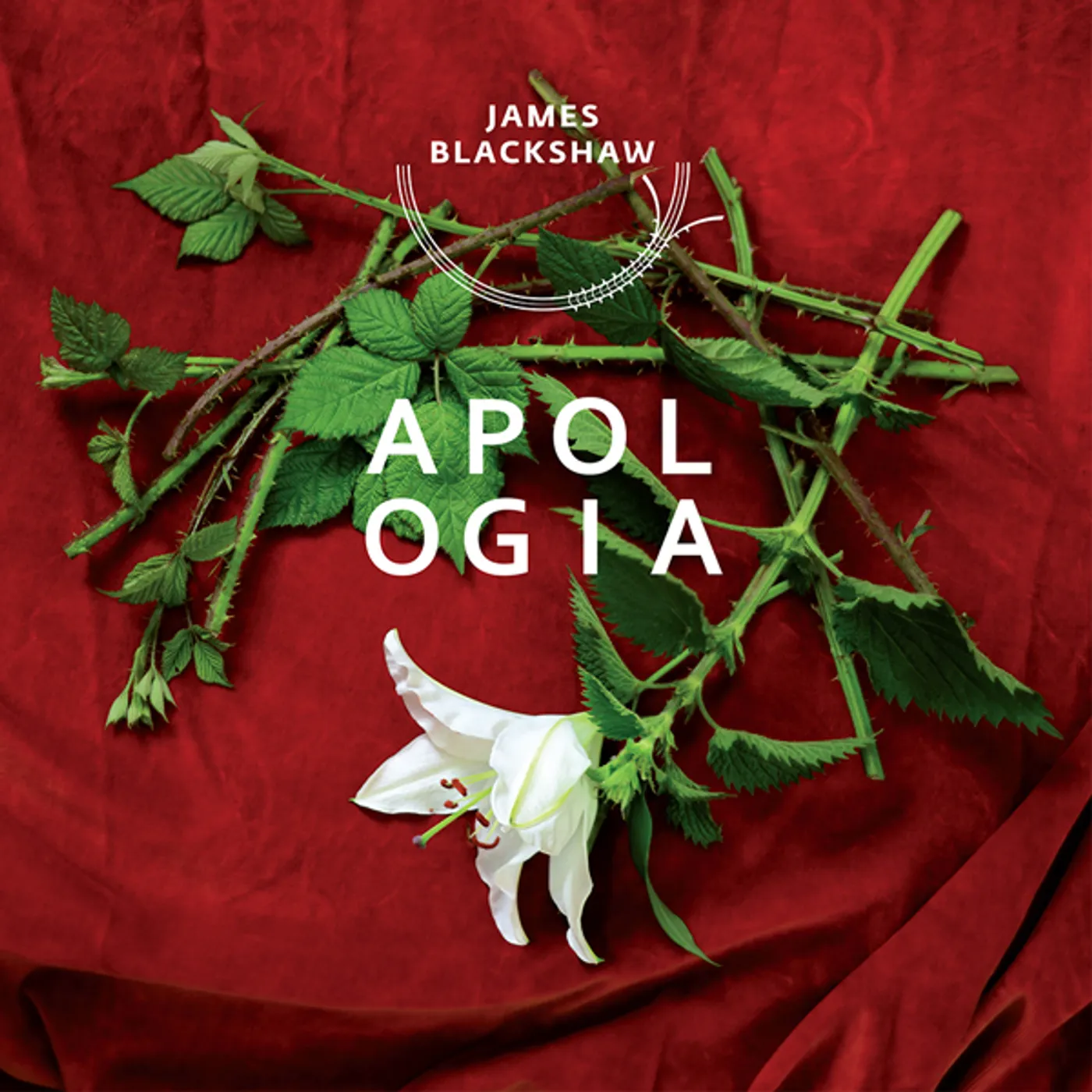 James Blackshaw Apologia Vinyl Record