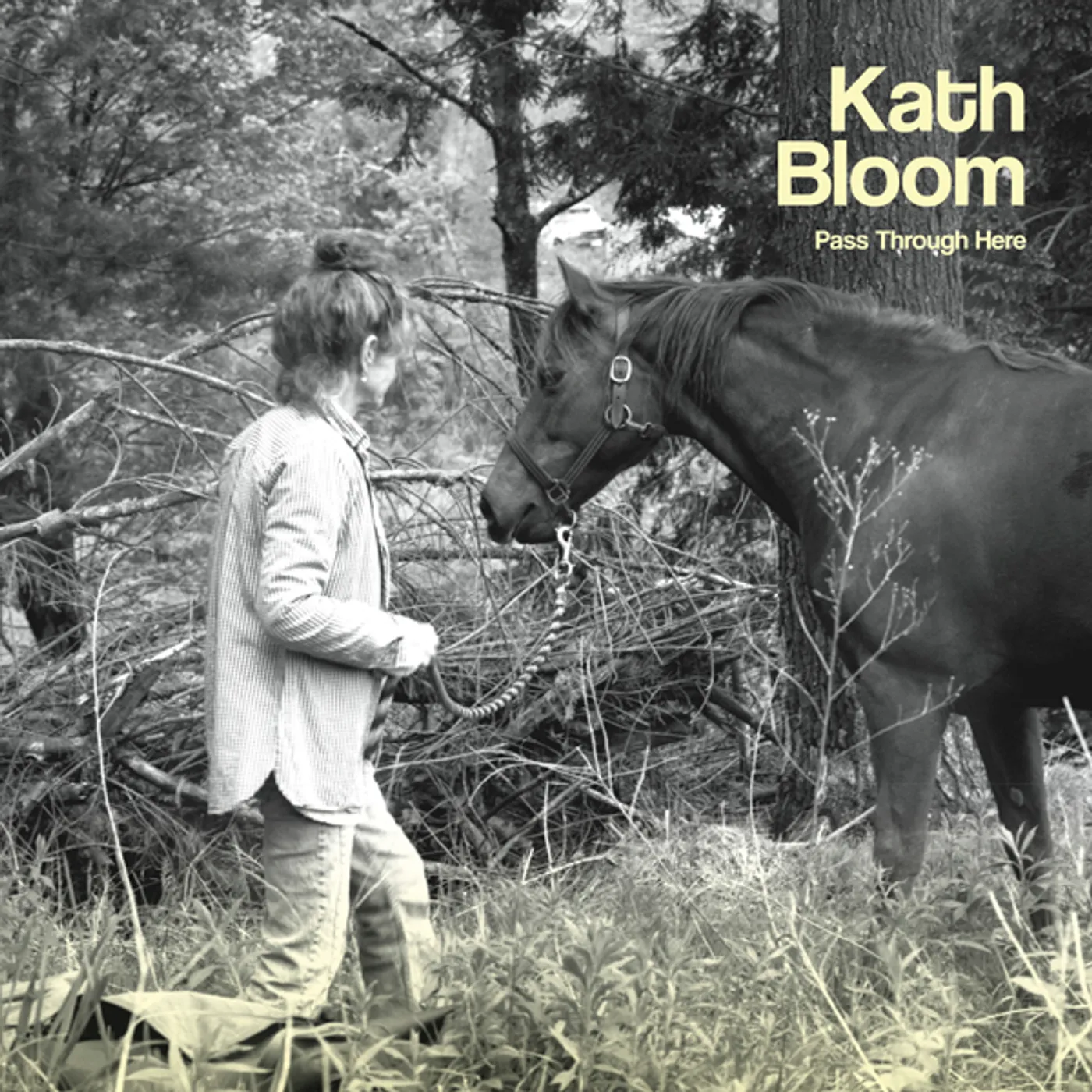 Kath Bloom Pass Through Here Vinyl Record