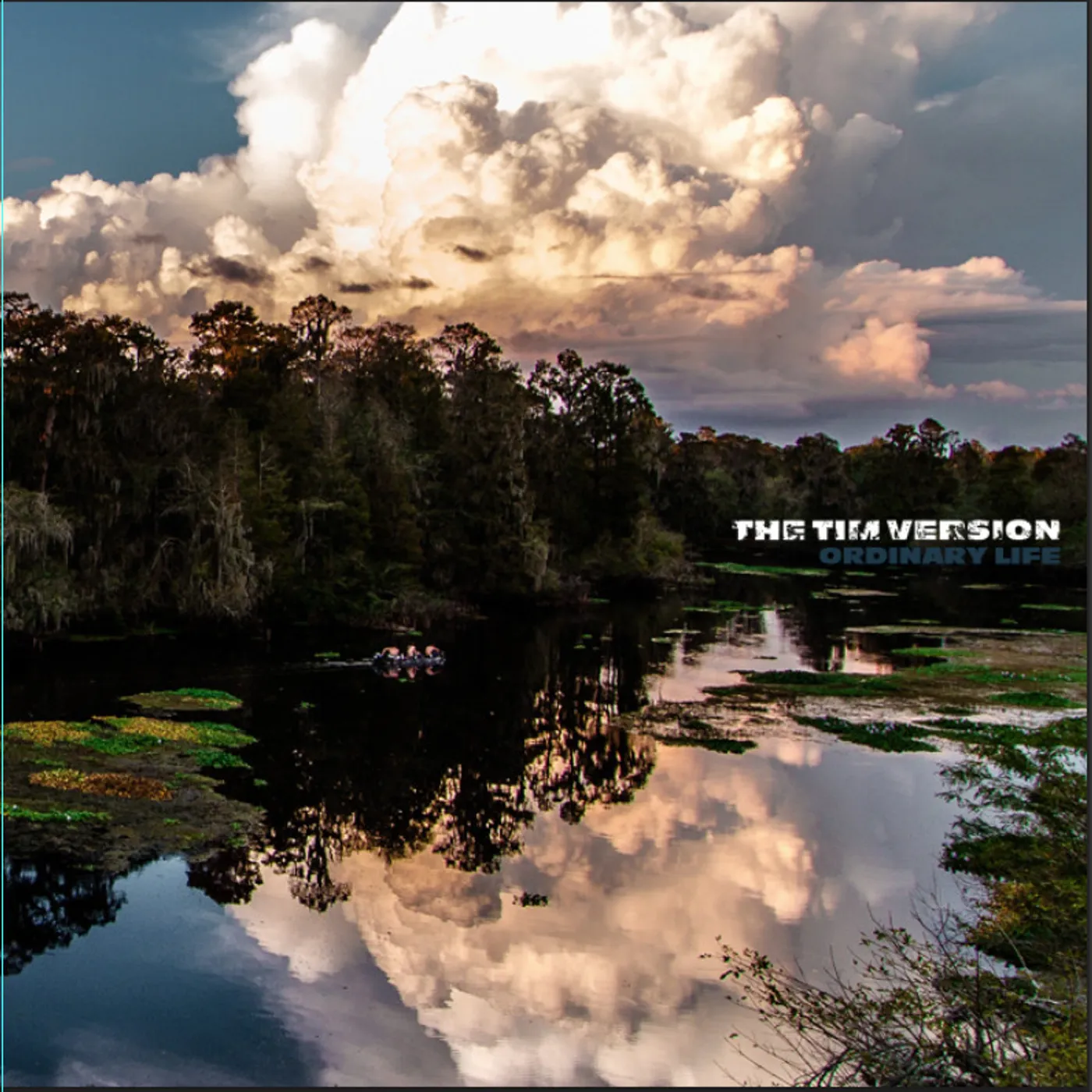 The Tim Version Ordinary Life Vinyl Record