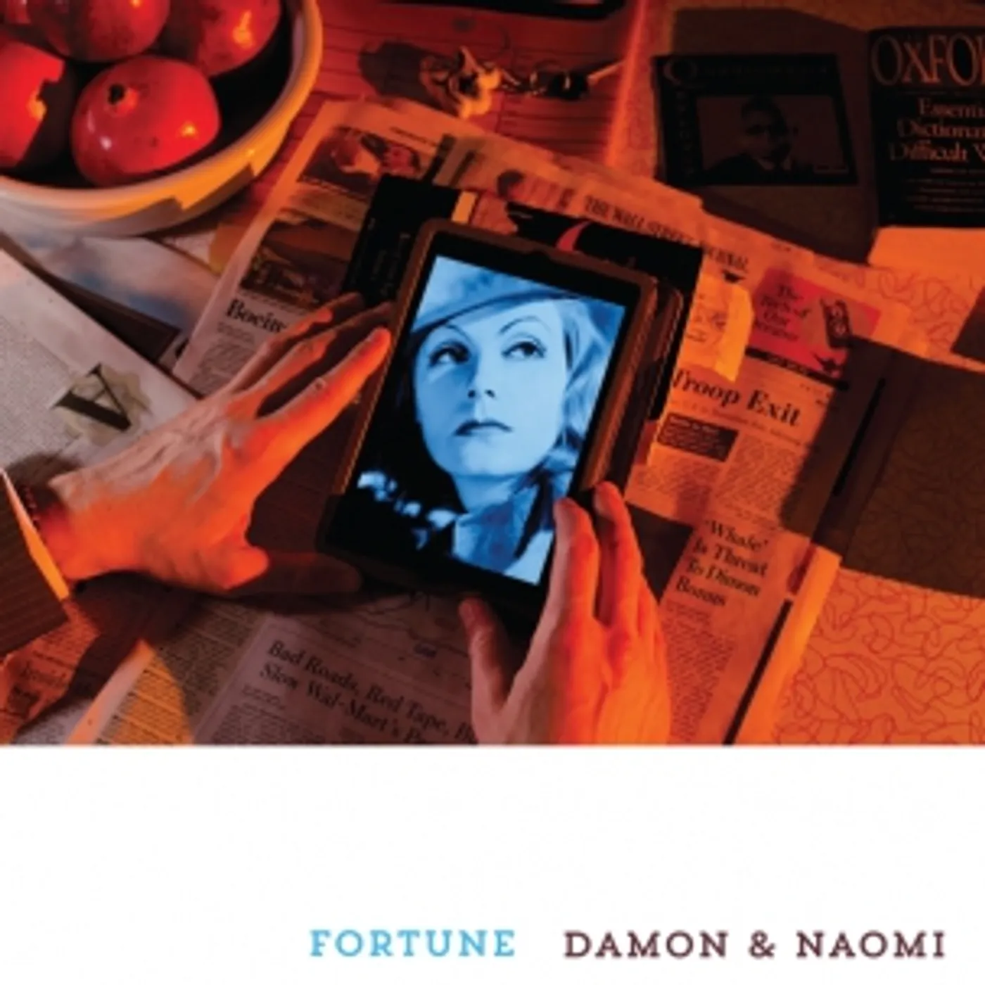 Damon & Naomi Fortune Vinyl Record