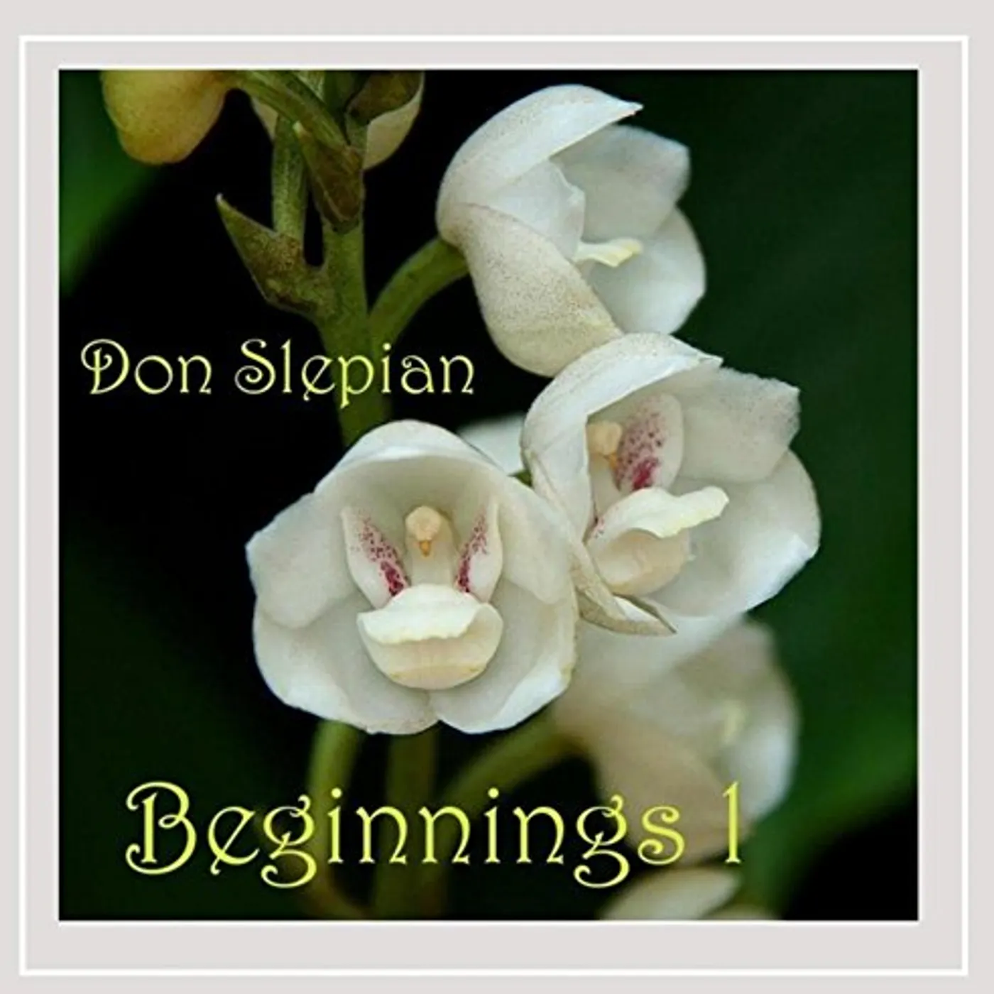 Don Slepian BEGINNINGS 1 CD