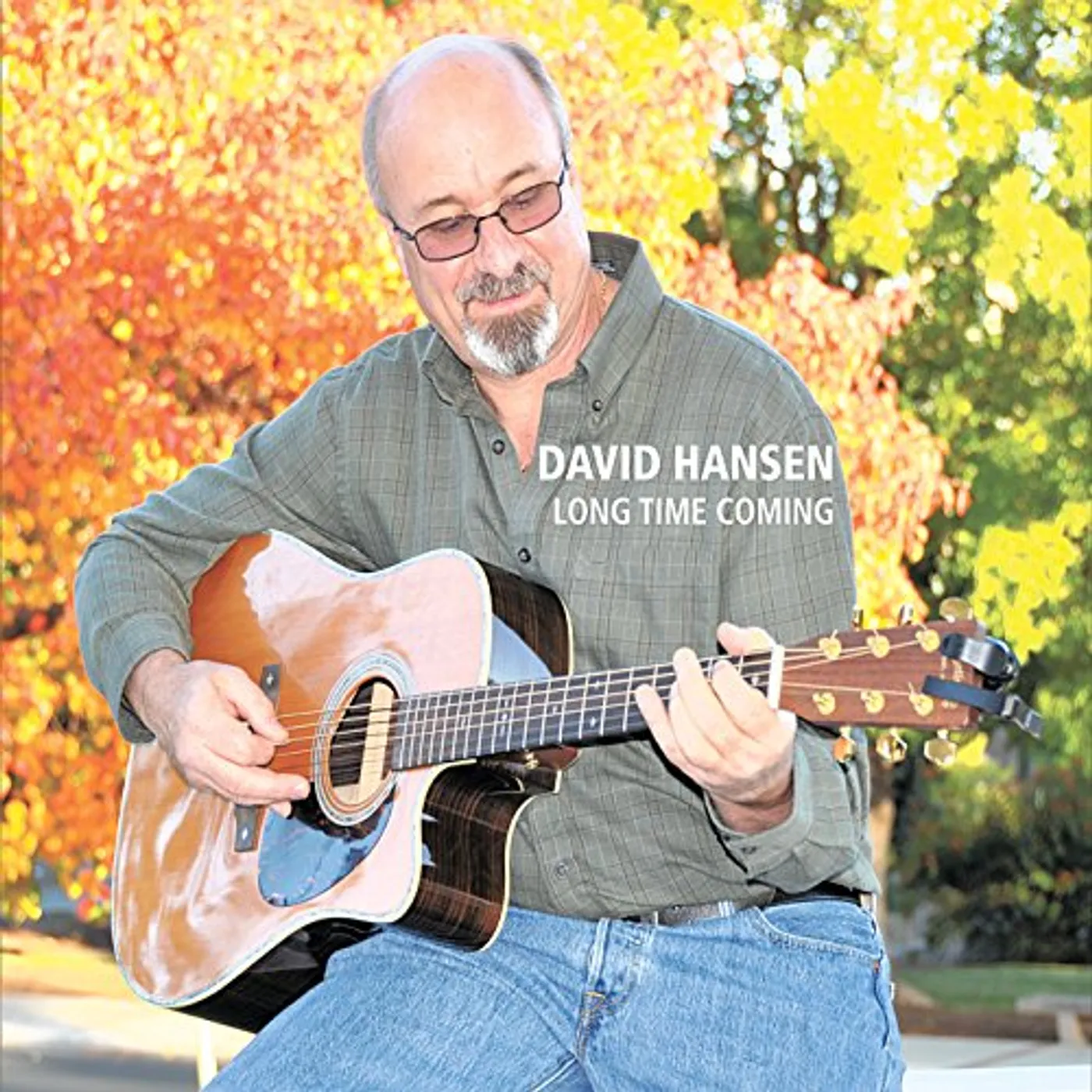 David Hansen LONG TIME COMING CD