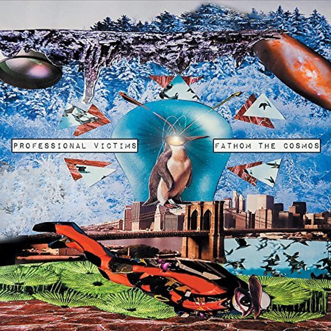 Professional Victims FATHOM THE COSMOS CD