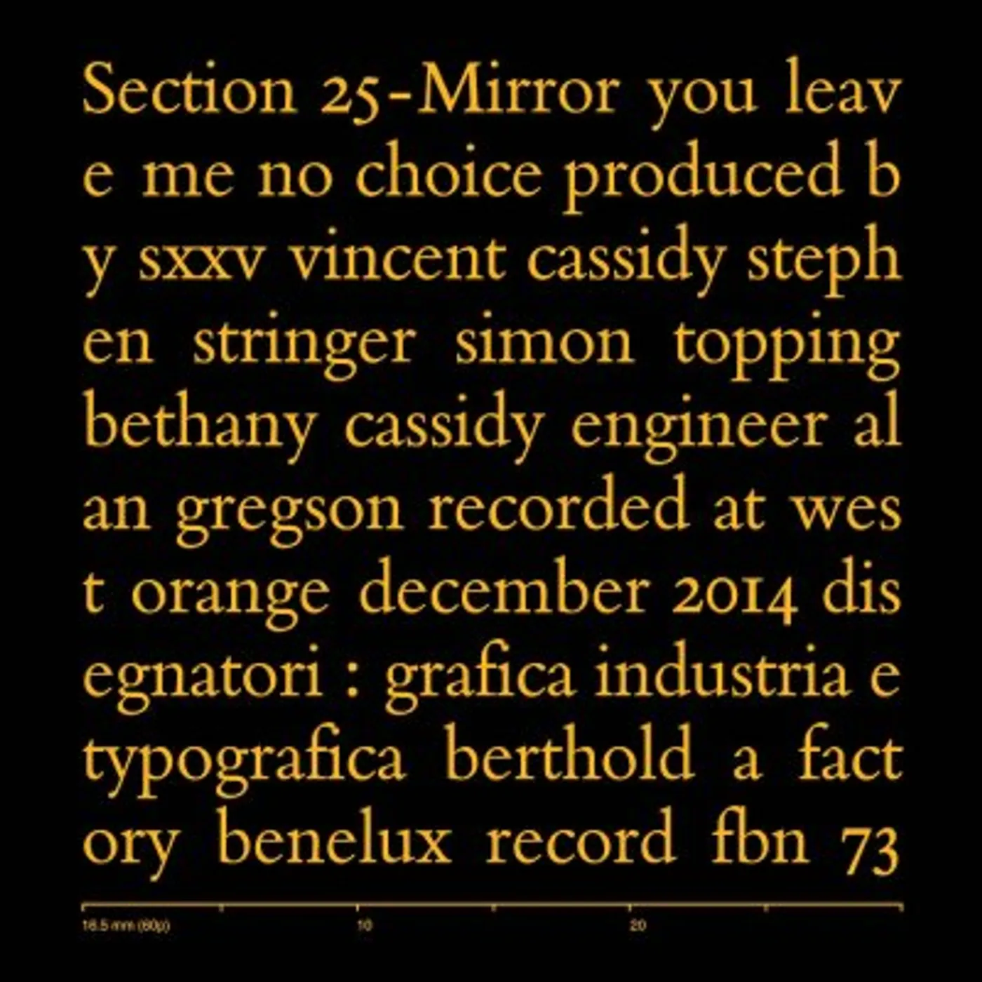 Section 25 Mirror Vinyl Record