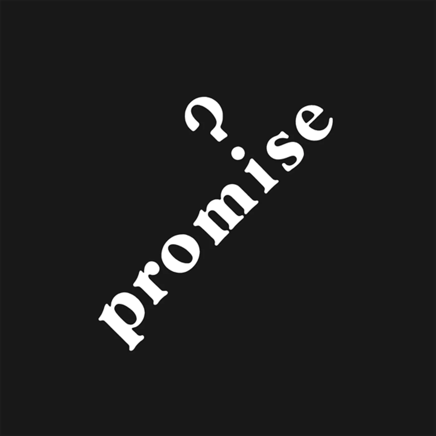 Promise Vinyl Record