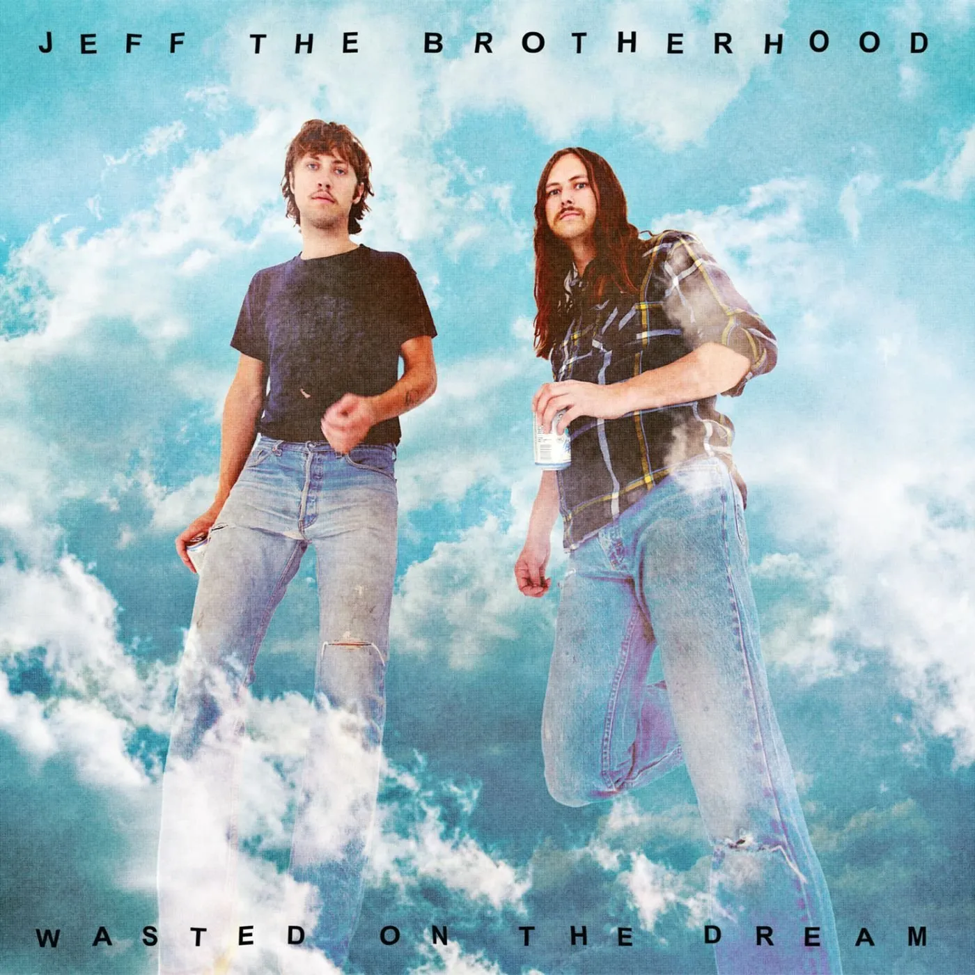 JEFF The Brotherhood Wasted On The Dream Vinyl Record
