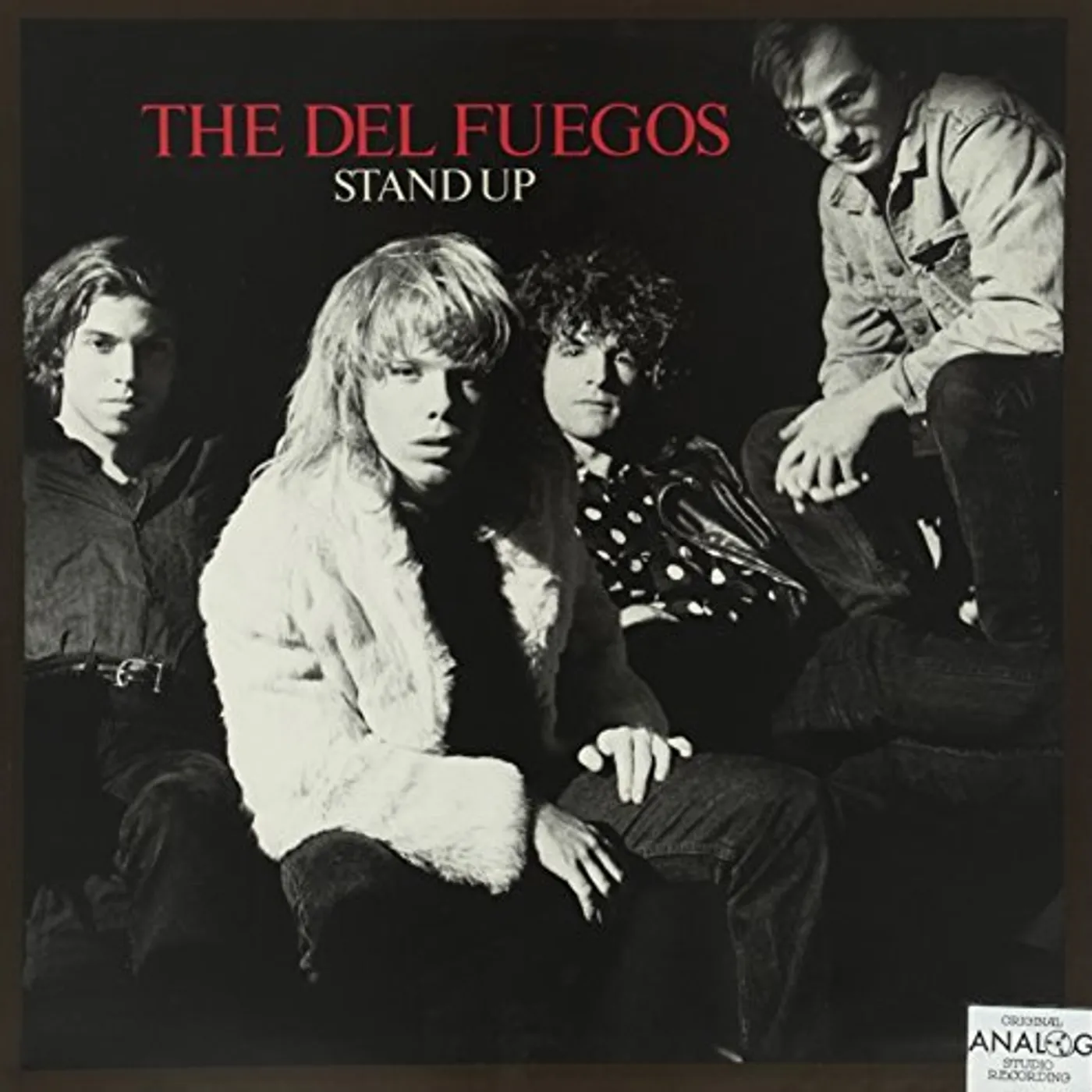 The Del Fuegos Stand Up Vinyl Record