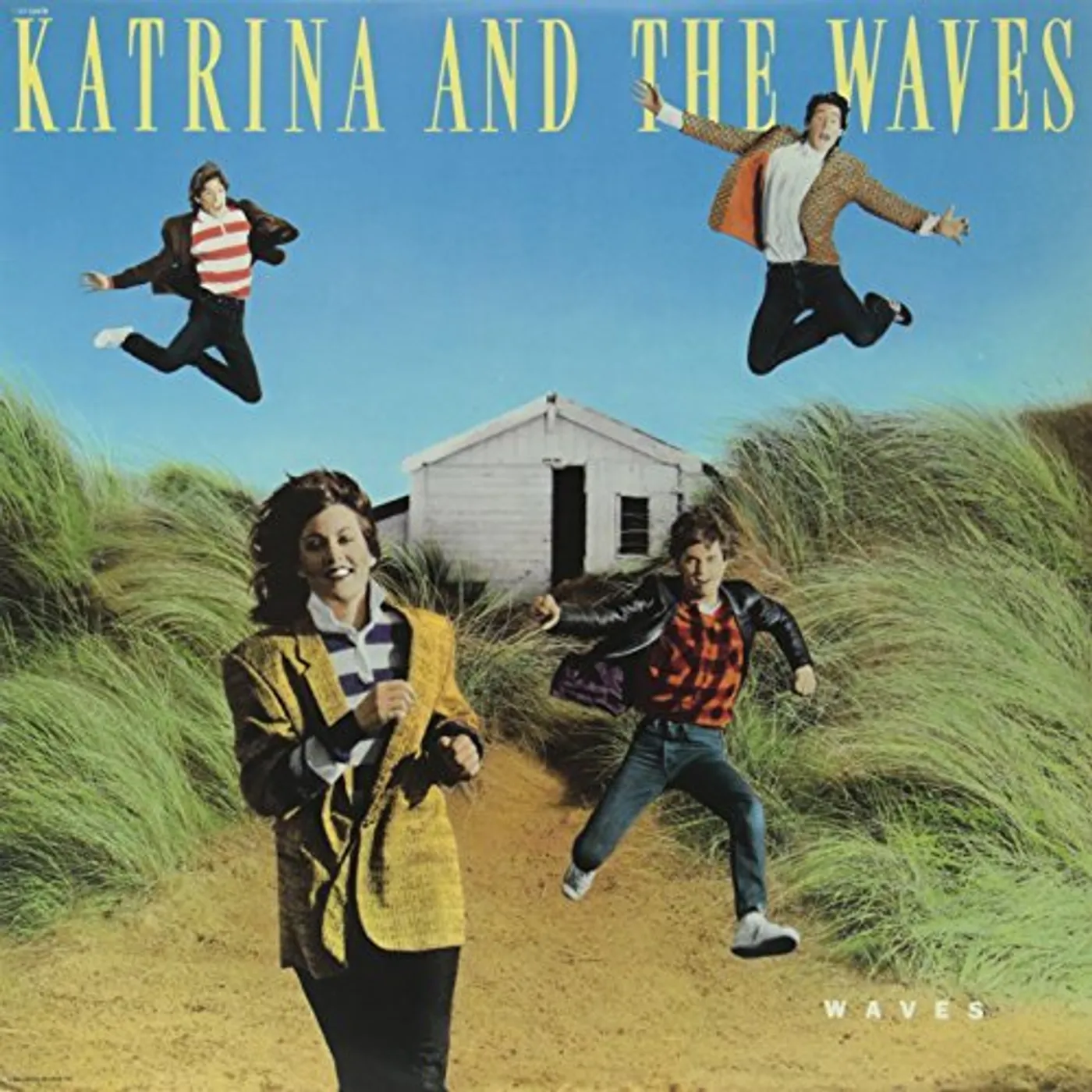 Katrina & The Waves WAVE Vinyl Record