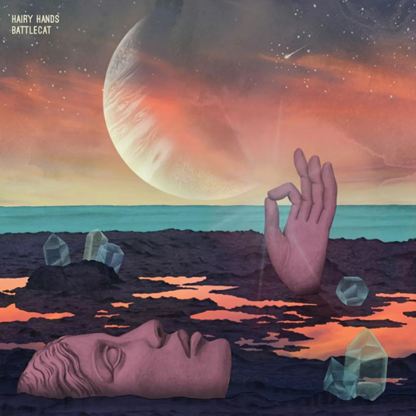 Hairy Hands Battlecat Vinyl Record