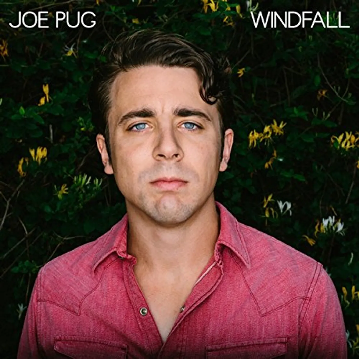 Joe Pug Windfall Vinyl Record