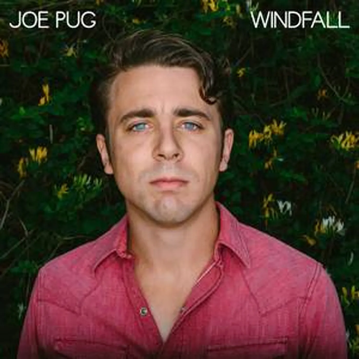 Joe Pug WINDFALL CD
