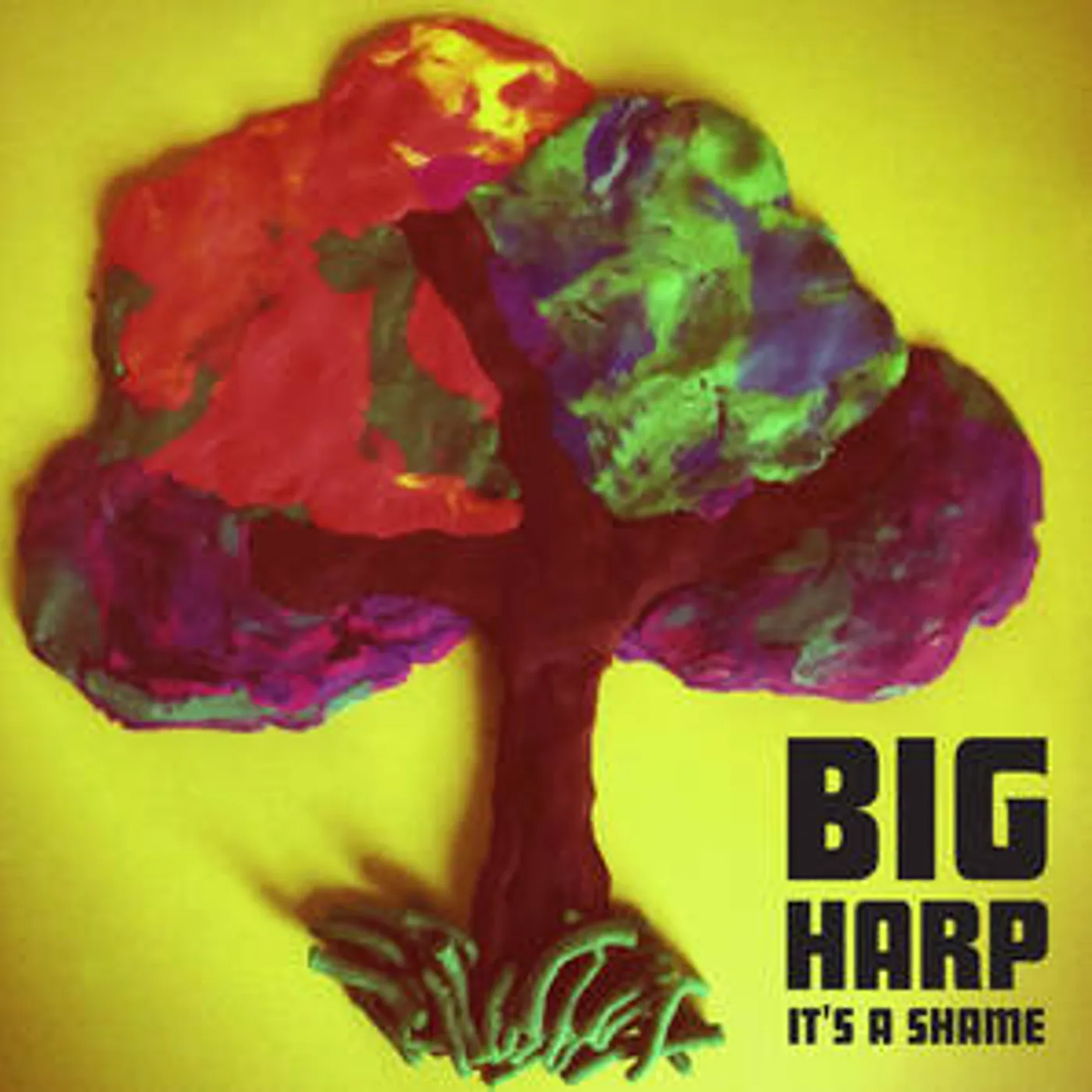 Big Harp IT'S A SHAME Vinyl Record