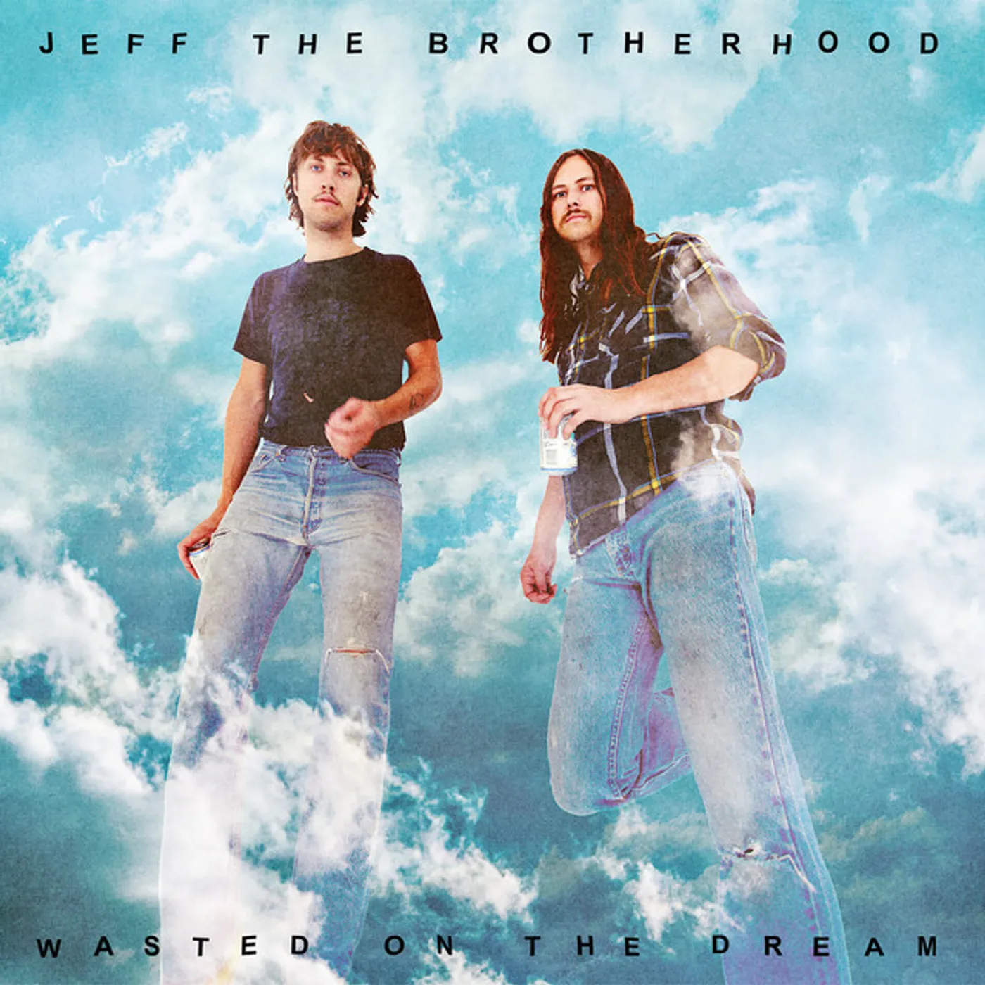 JEFF The Brotherhood WASTED ON THE DREAM (DLCD) (Vinyl)