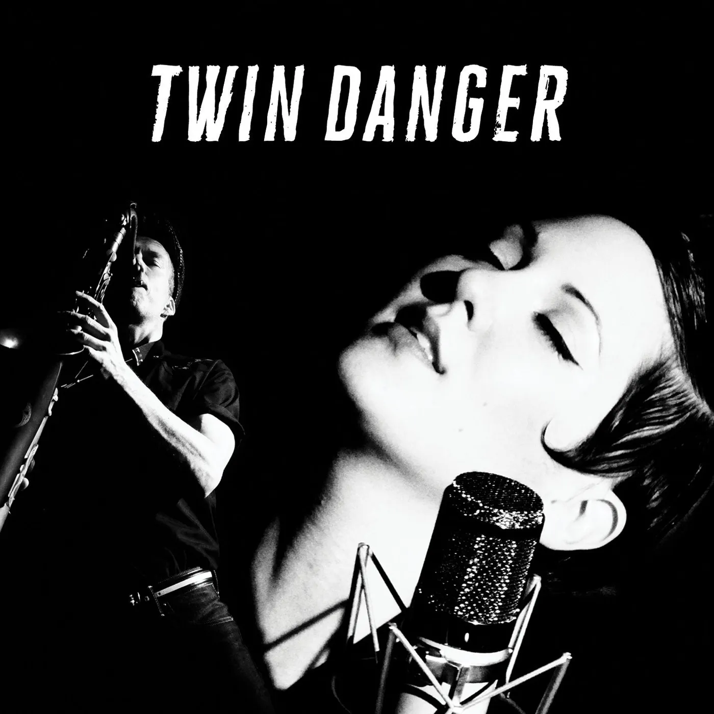 Twin Danger Vinyl Record