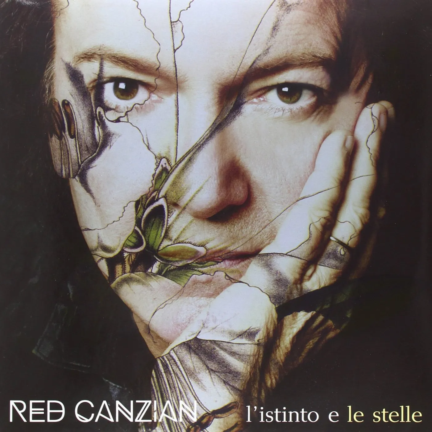 Red Canzian L'istinto e le stelle Vinyl Record