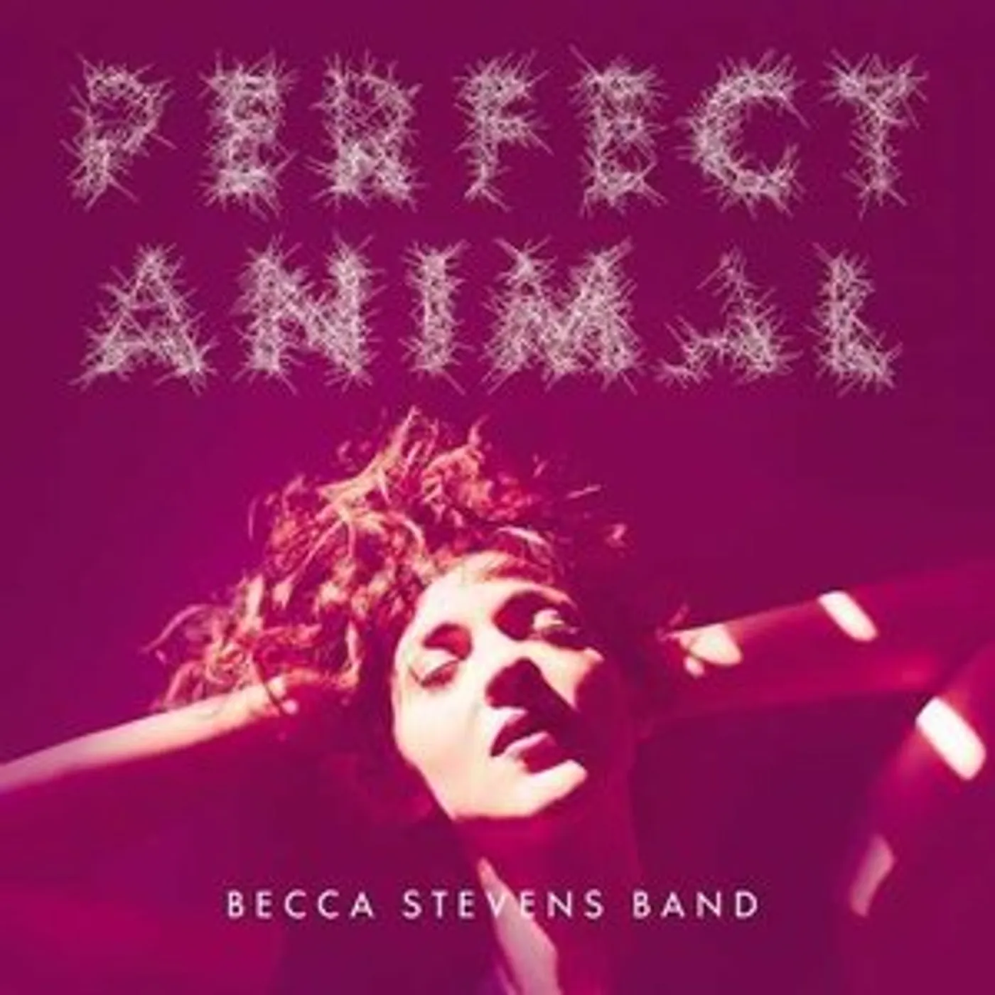 Becca Stevens PERFECT ANIMAL CD
