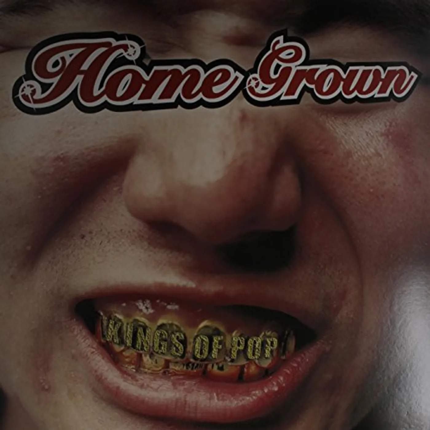 Home Grown Kings Of Pop Vinyl Record