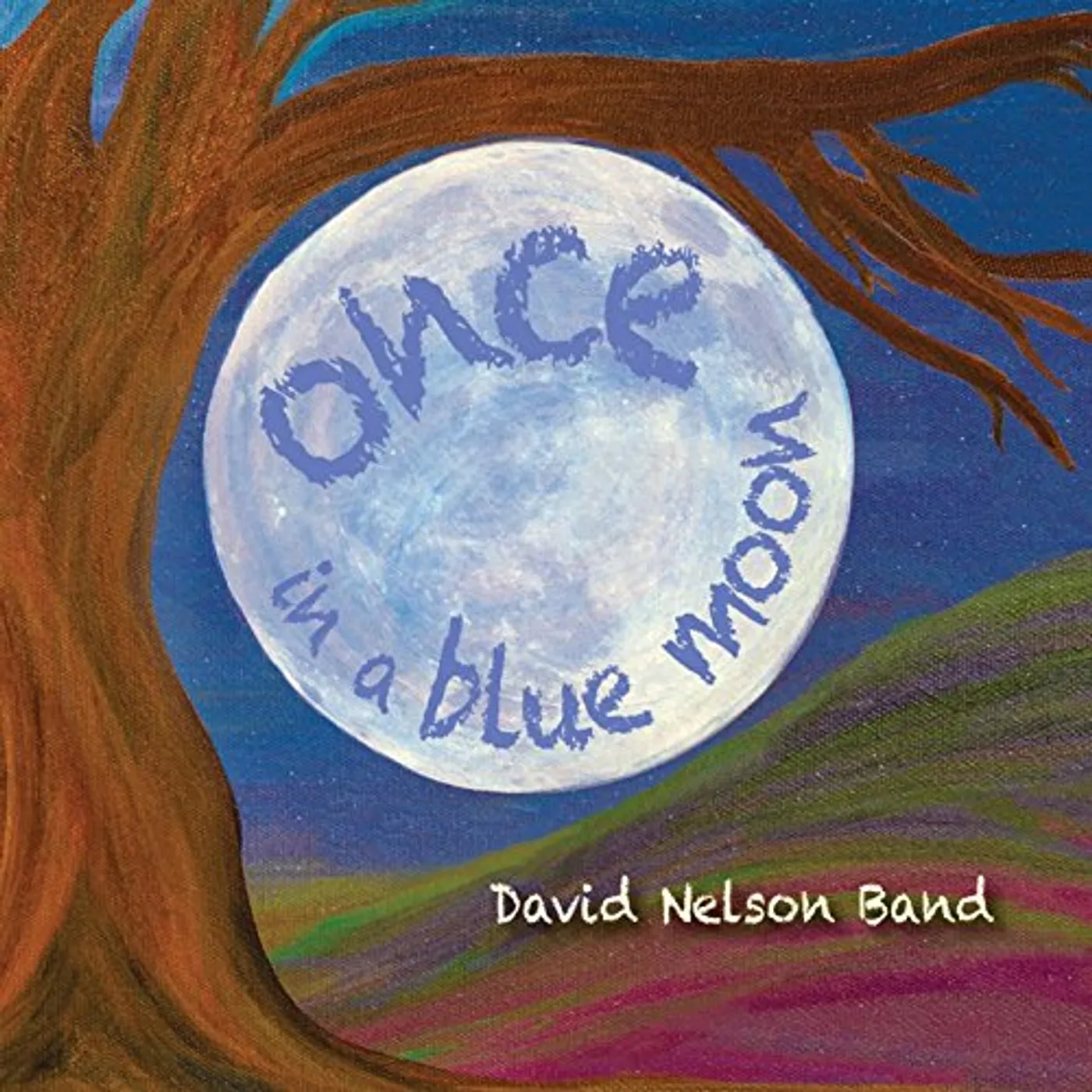 David Nelson Band Once In A Blue Moon CD