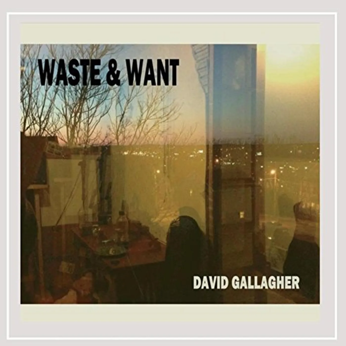 David Gallagher WASTE & WANT CD