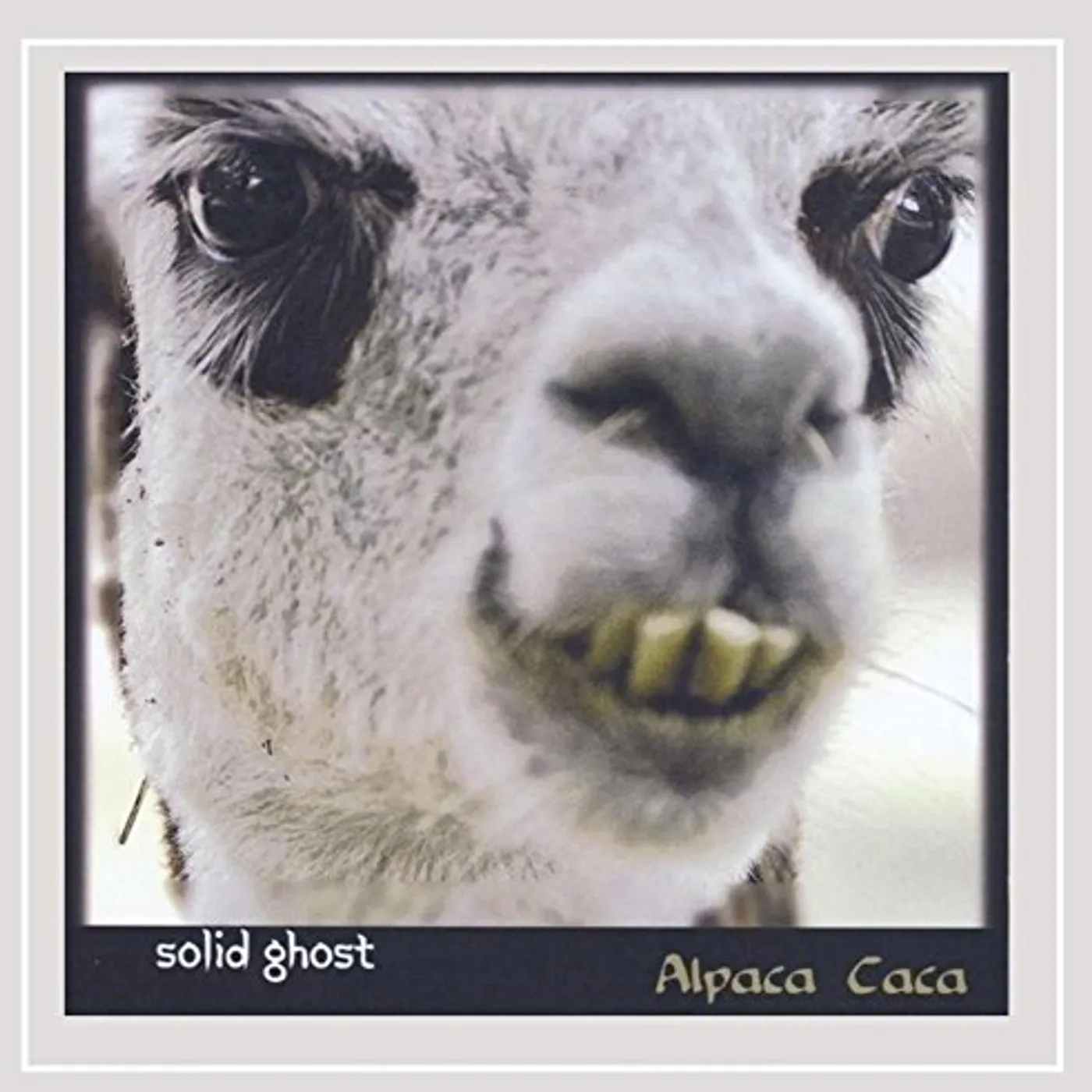 Solid Ghost ALPACA CACA CD