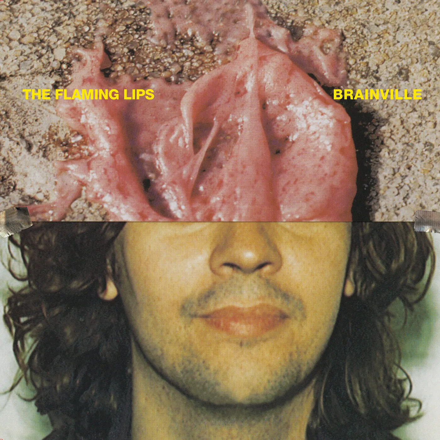 The Flaming Lips Brainville Vinyl Record