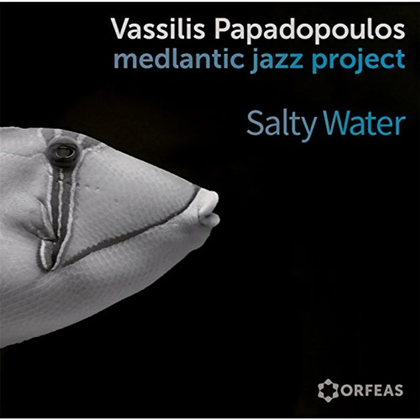 Vassilis Papadopoulos SALTY WATER CD