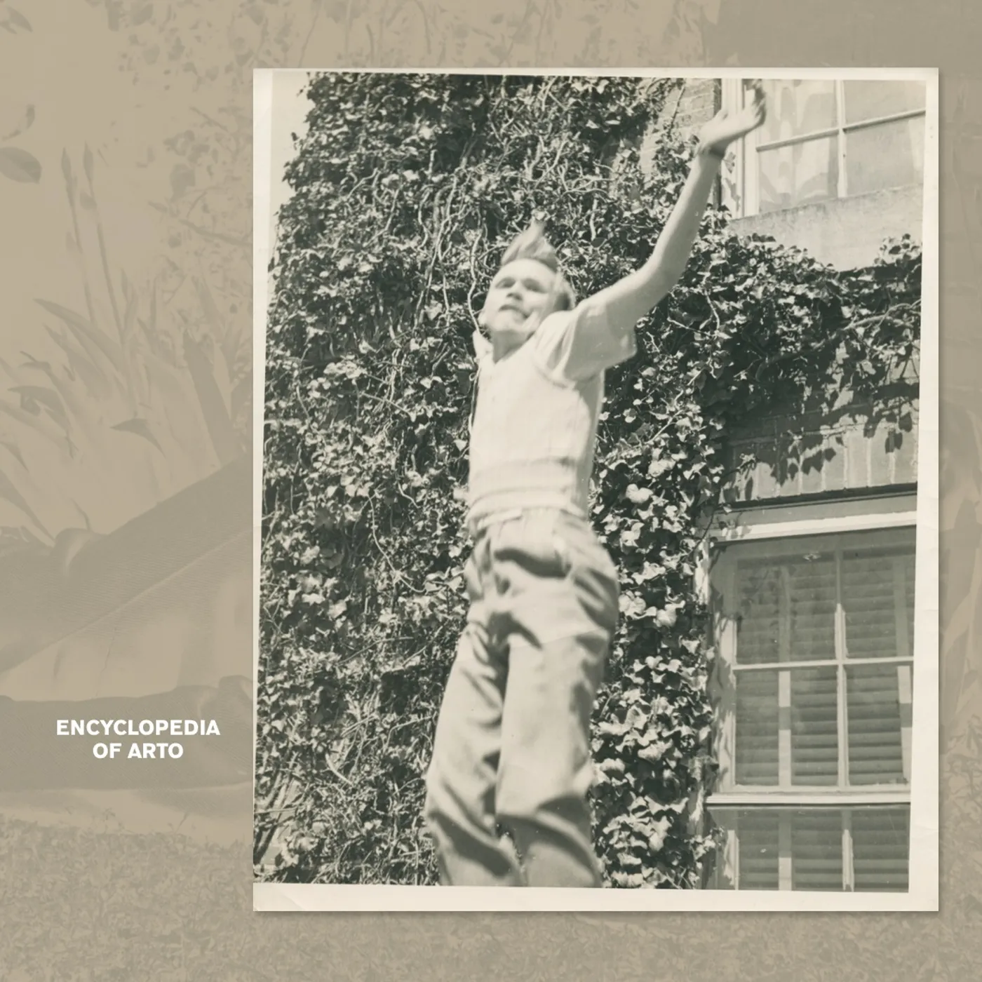 Arto Lindsay Encyclopedia of Arto Vinyl Record