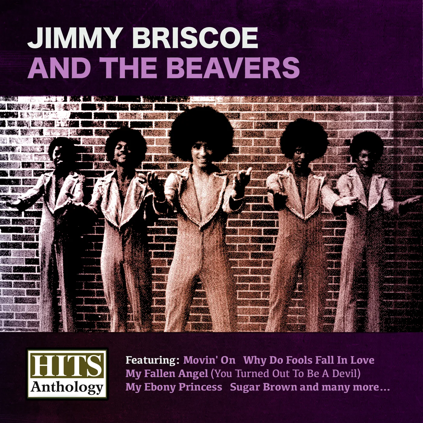 HITS ANTHOLOGY: JIMMY BRISCOE & BEAVERS CD