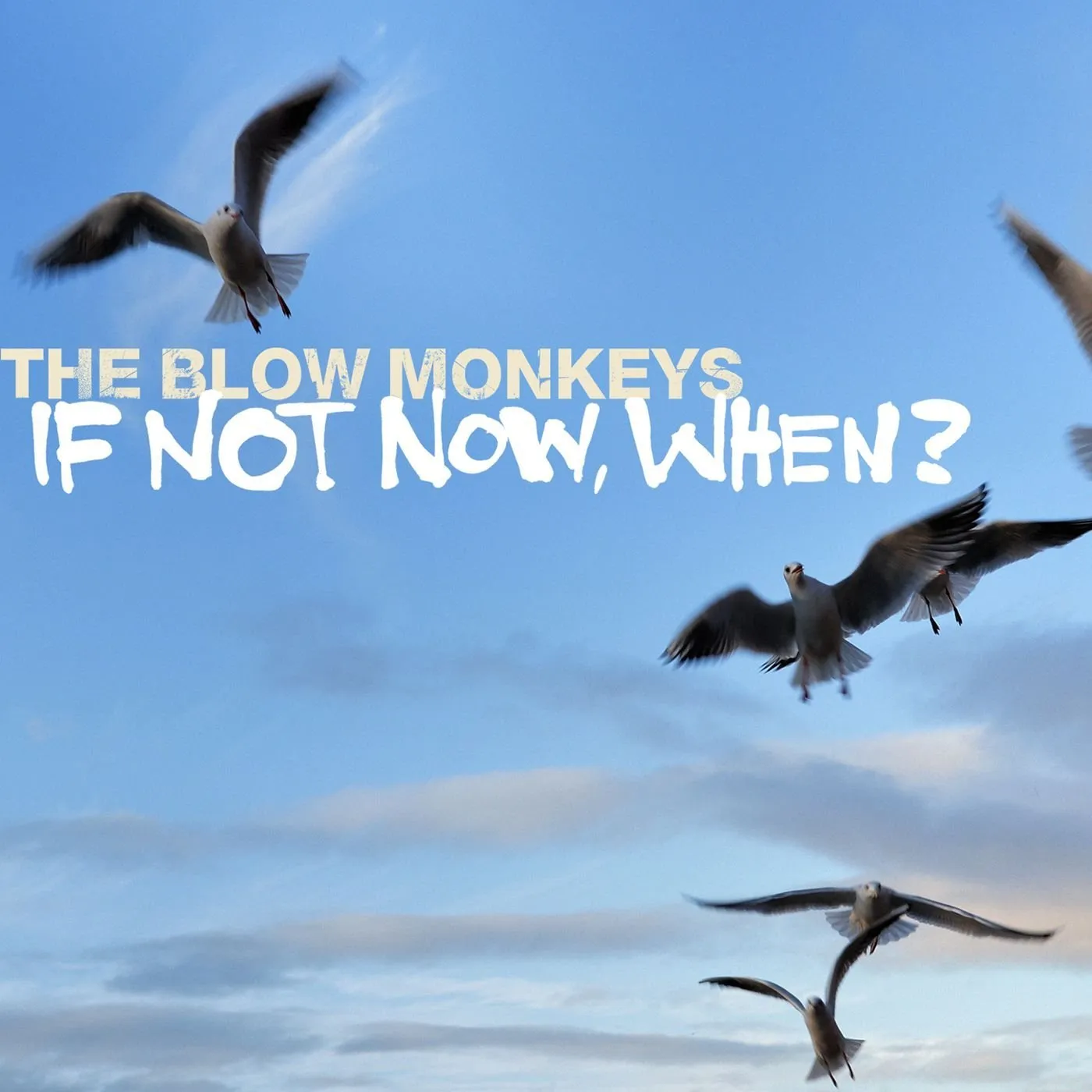 The Blow Monkeys IF NOT NOW WHEN? CD