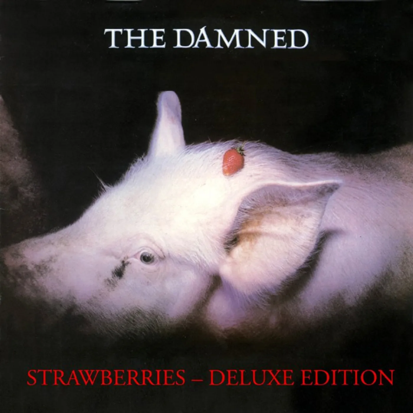 The Damned Strawberries Vinyl Record