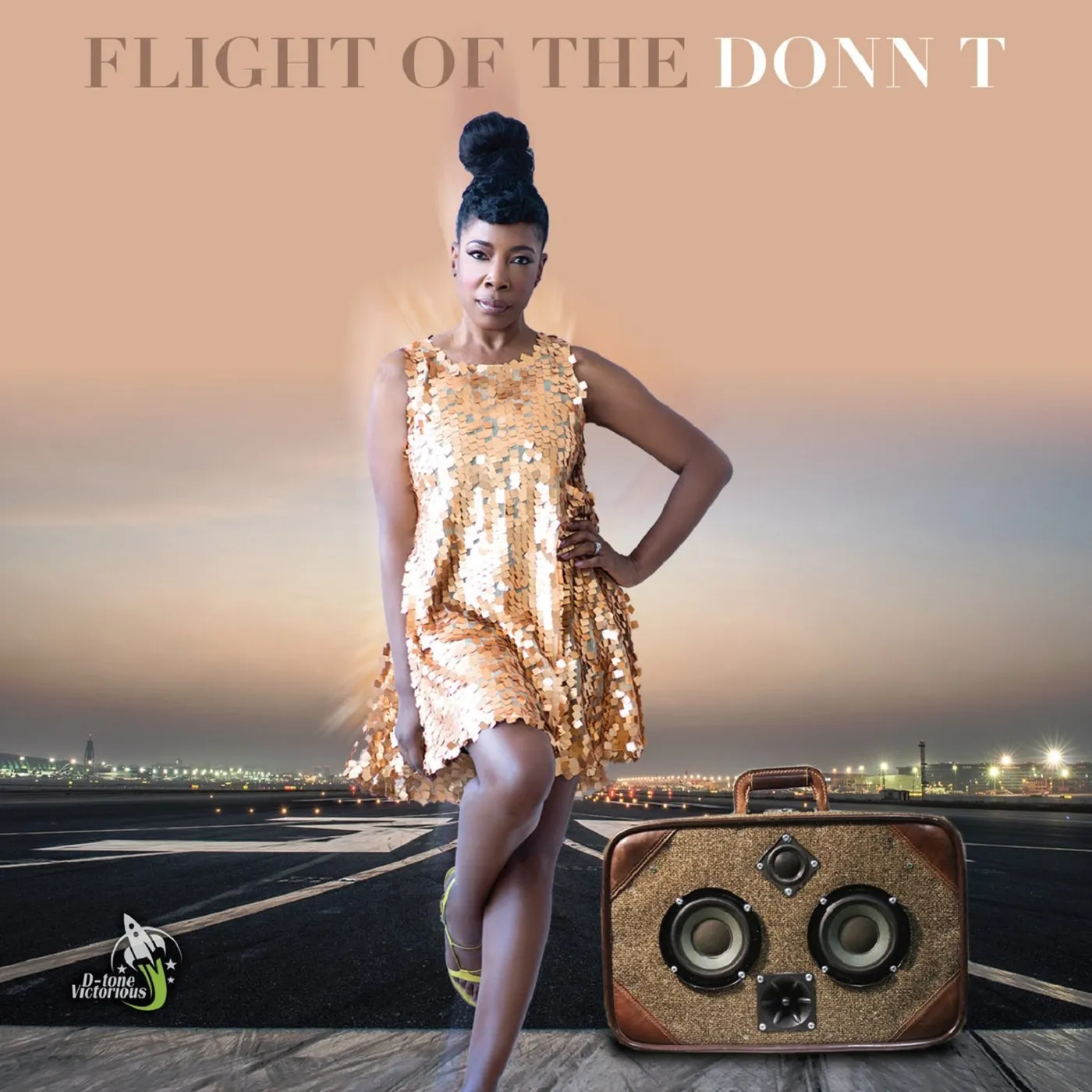 Flight of the Donn T Vinyl Record