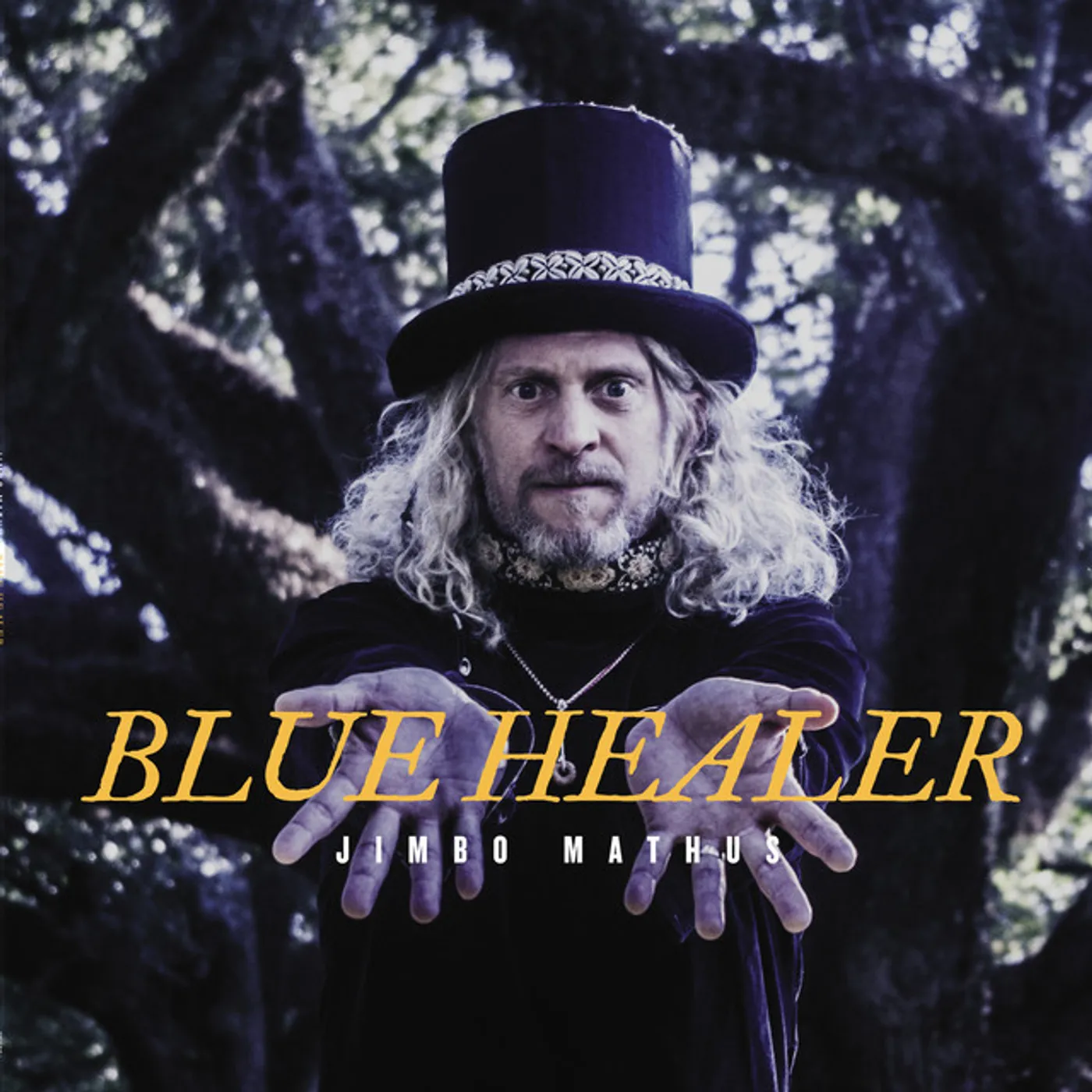 Jimbo Mathus Blue Healer Vinyl Record