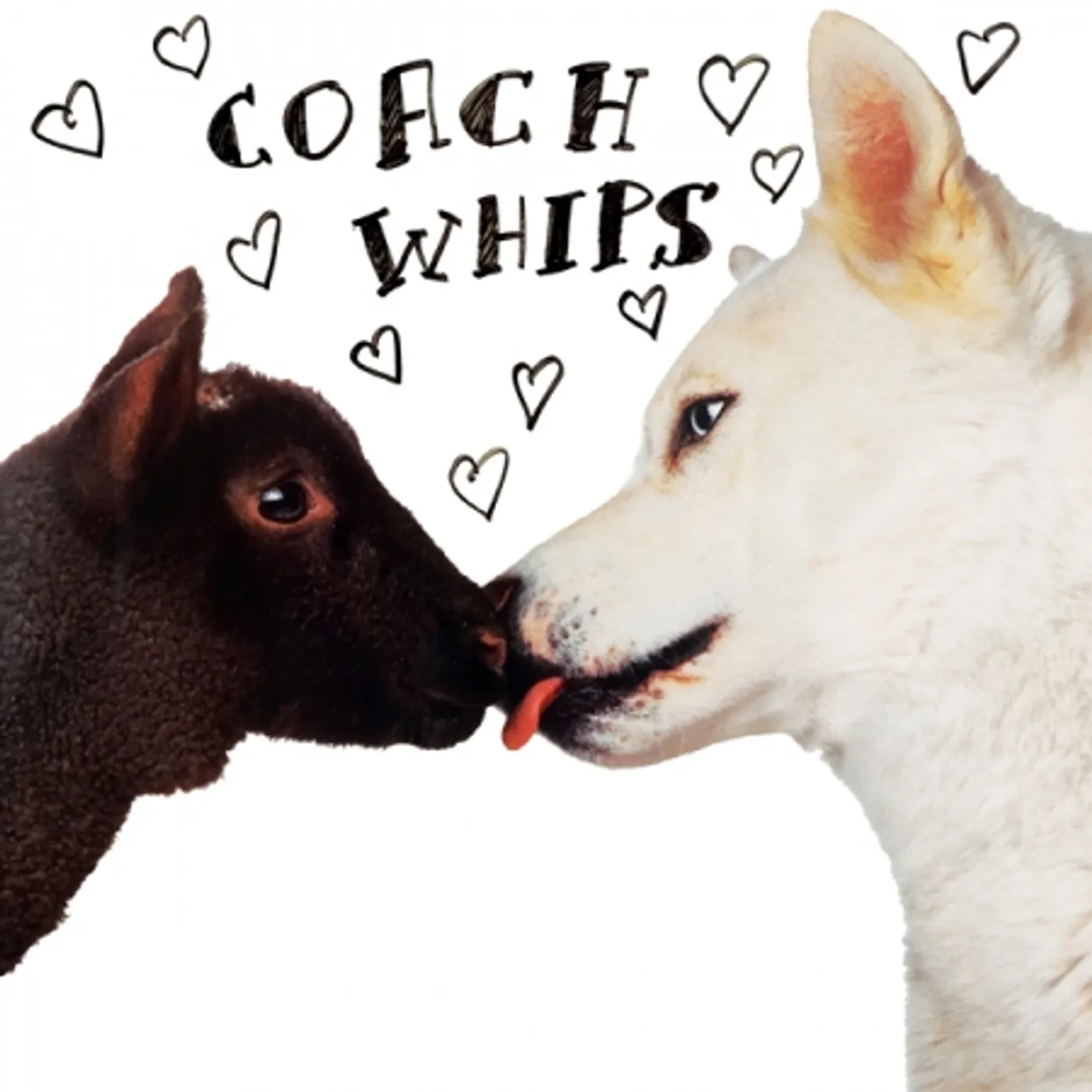 Coachwhips BANGERS VS. FUCKERS CD