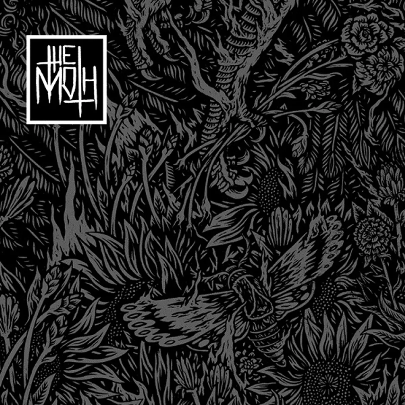 Moth AND THEN RISE CD