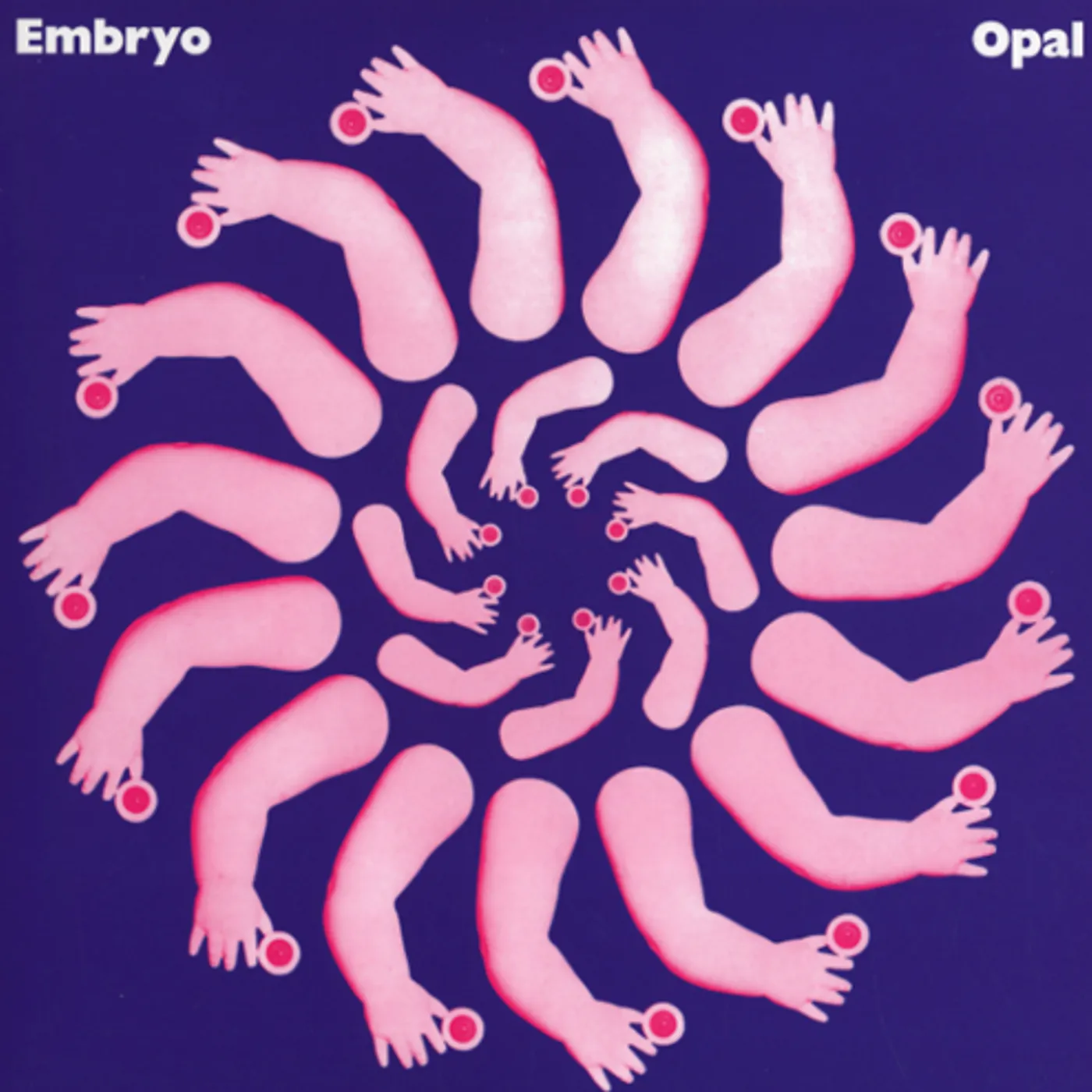 Embryo Opal Vinyl Record