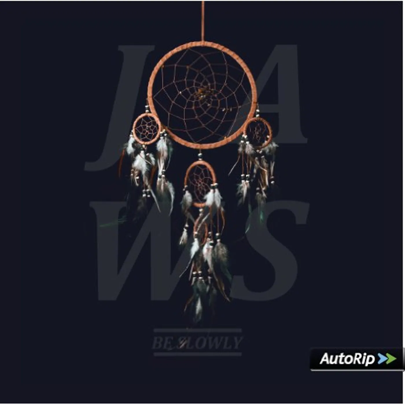 JAWS Be Slowly Vinyl Record