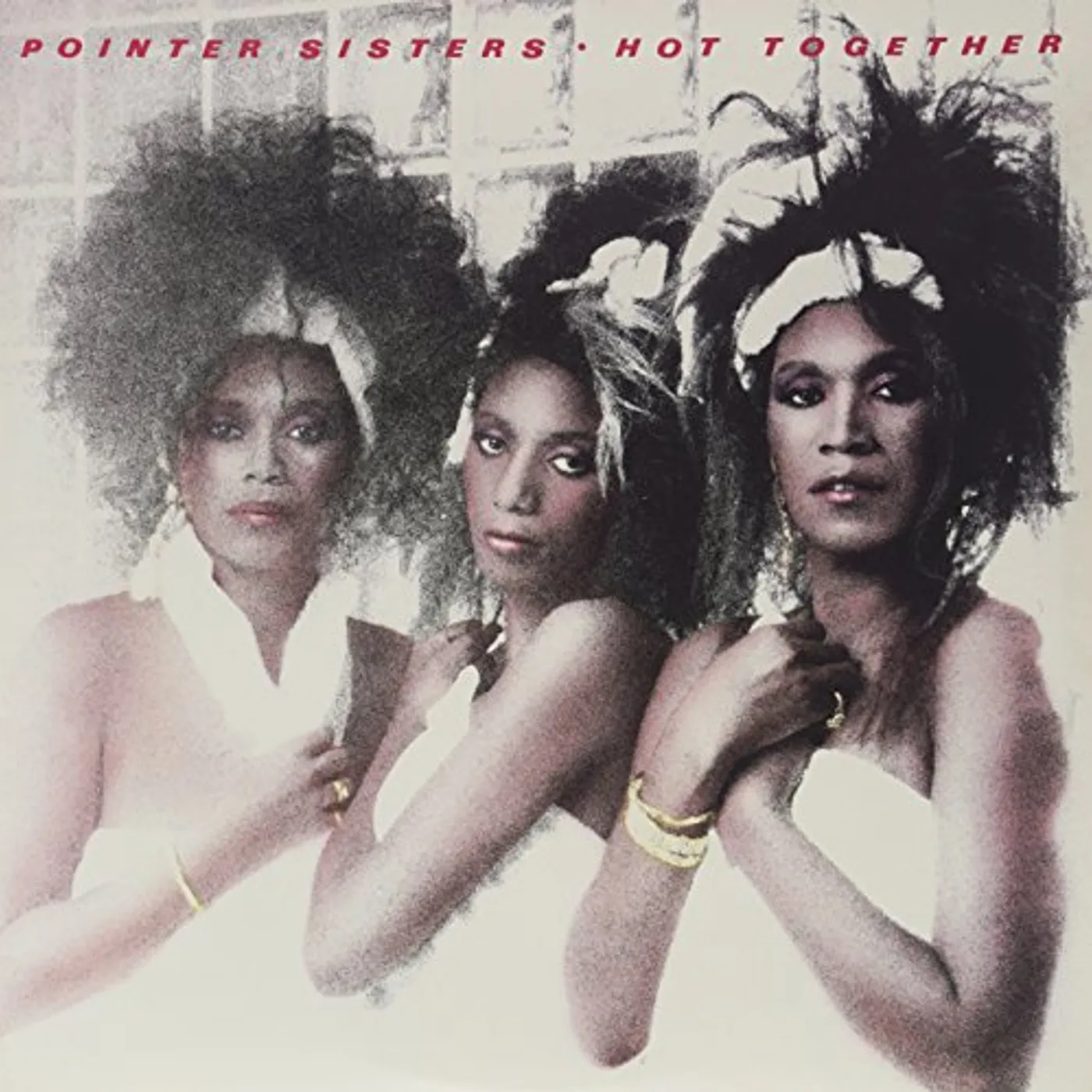 The Pointer Sisters Hot Together Vinyl Record