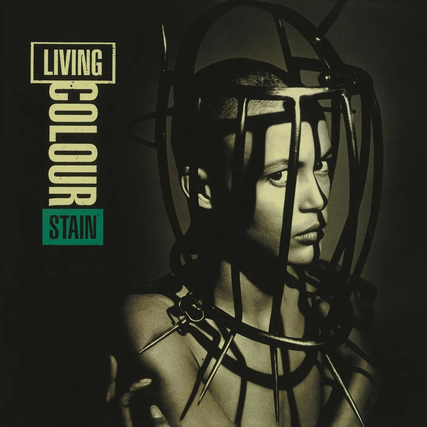 Living Colour Stain Vinyl Record