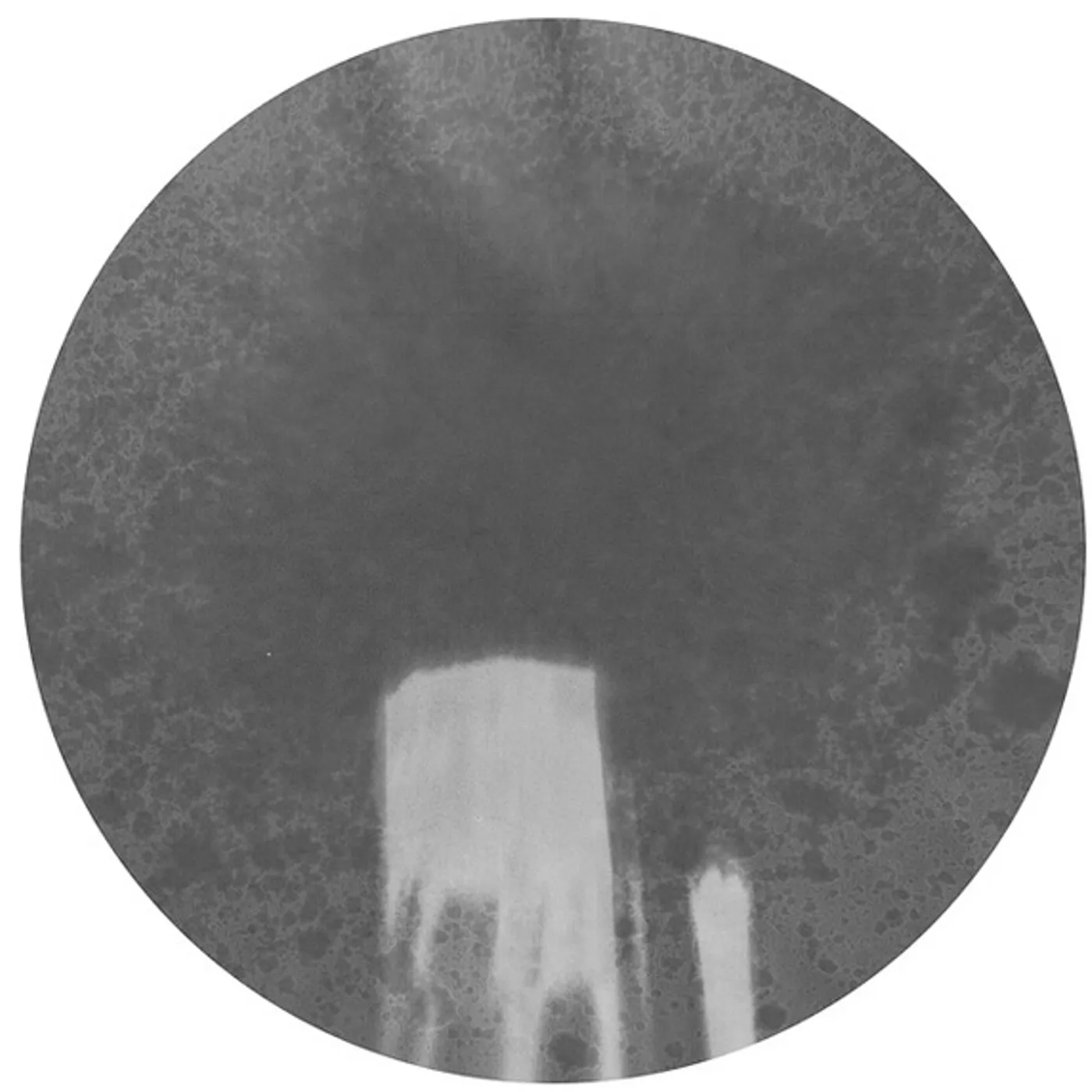 Trapeze HOT WIRE CD