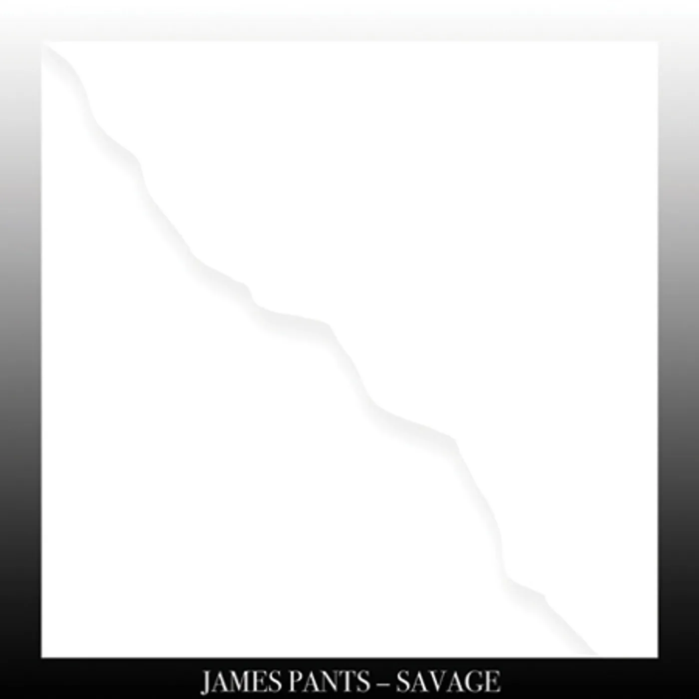 James Pants Savage Vinyl Record