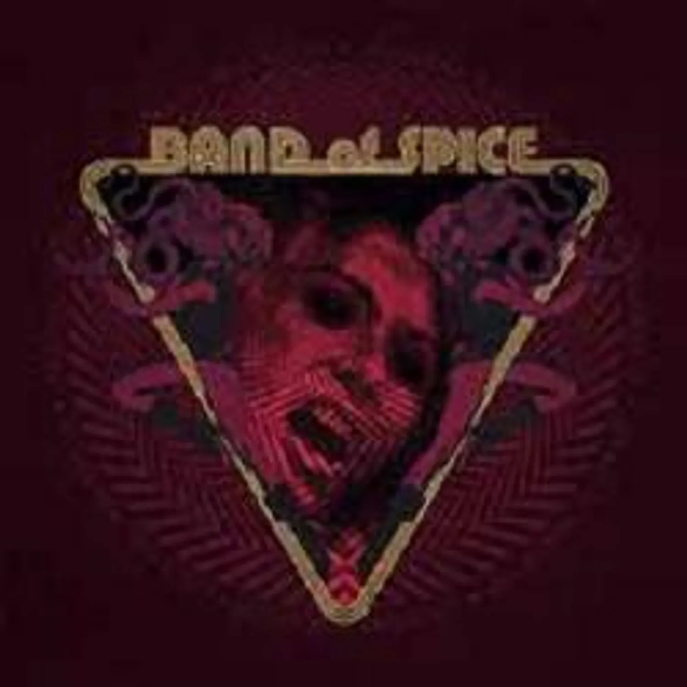 Band Of Spice Economic Dancers Vinyl Record