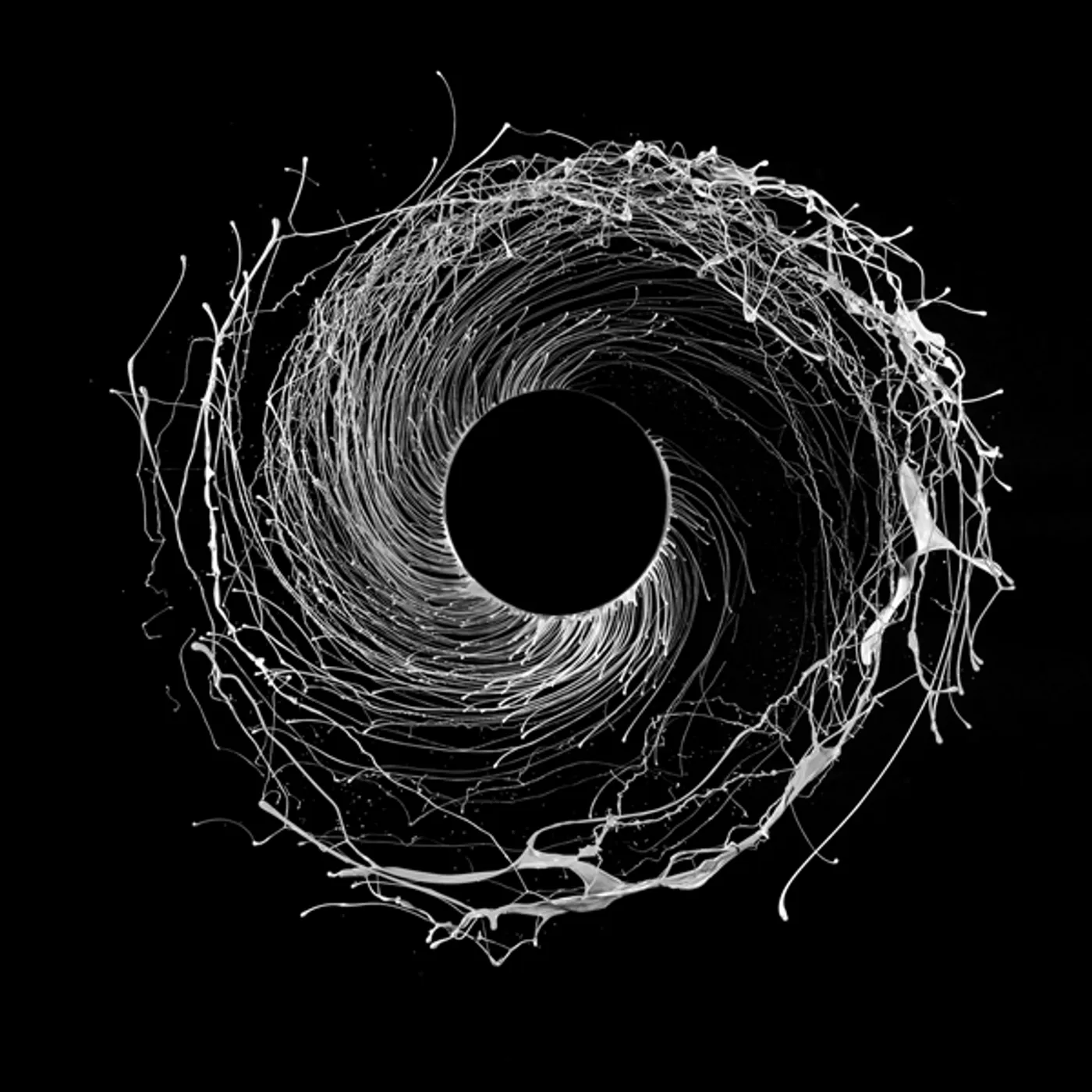 Dawn of Midi Dysnomia Vinyl Record