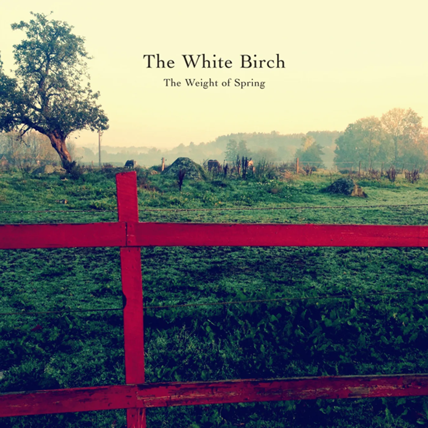 The White Birch WEIGHT OF SPRING Vinyl Record