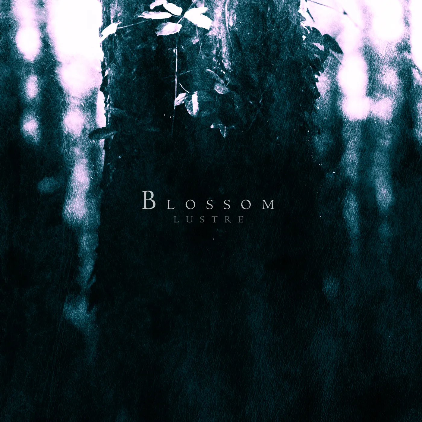 Lustre BLOSSOM CD
