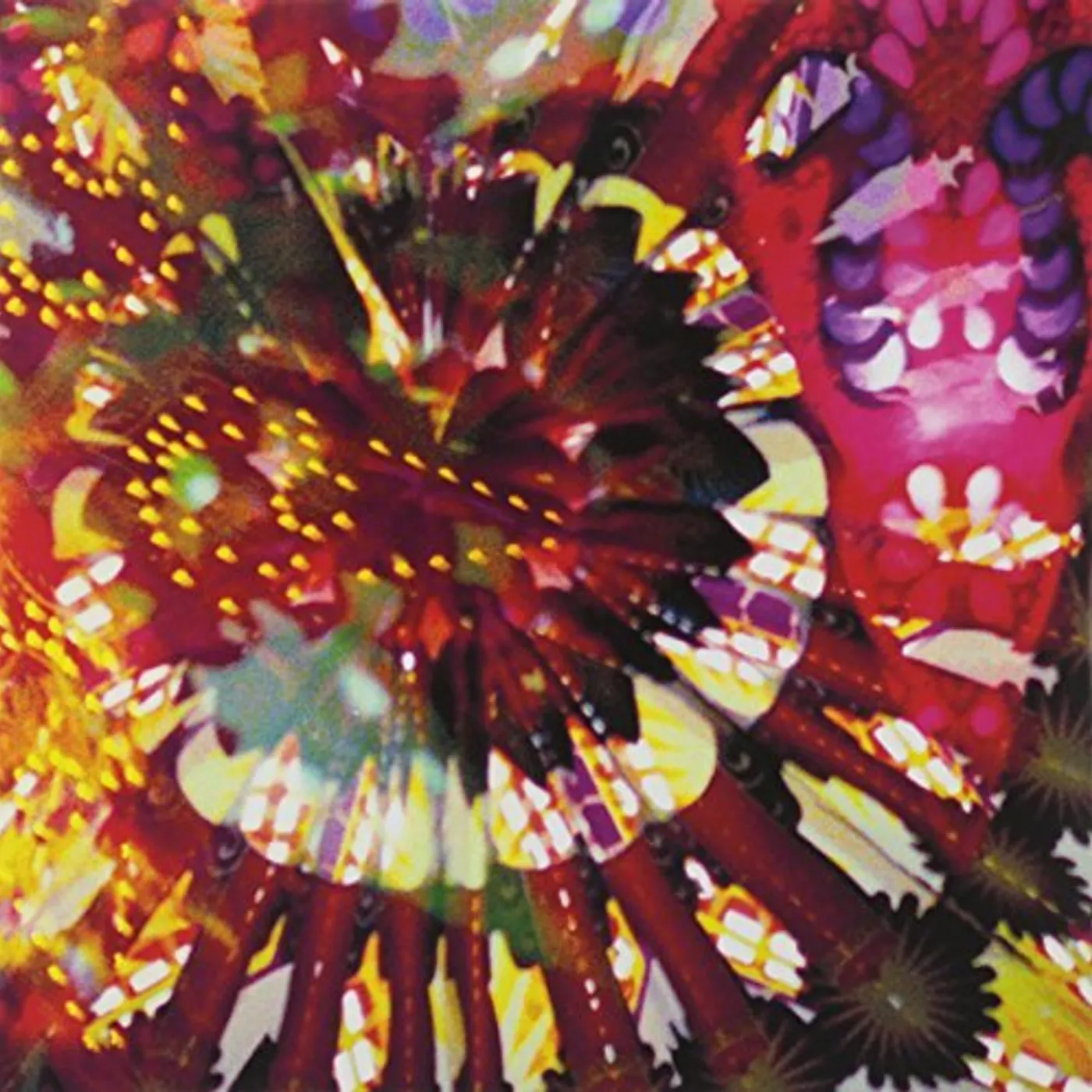 Caribou Vibration Ensemble CVE Live 2011 Vinyl Record